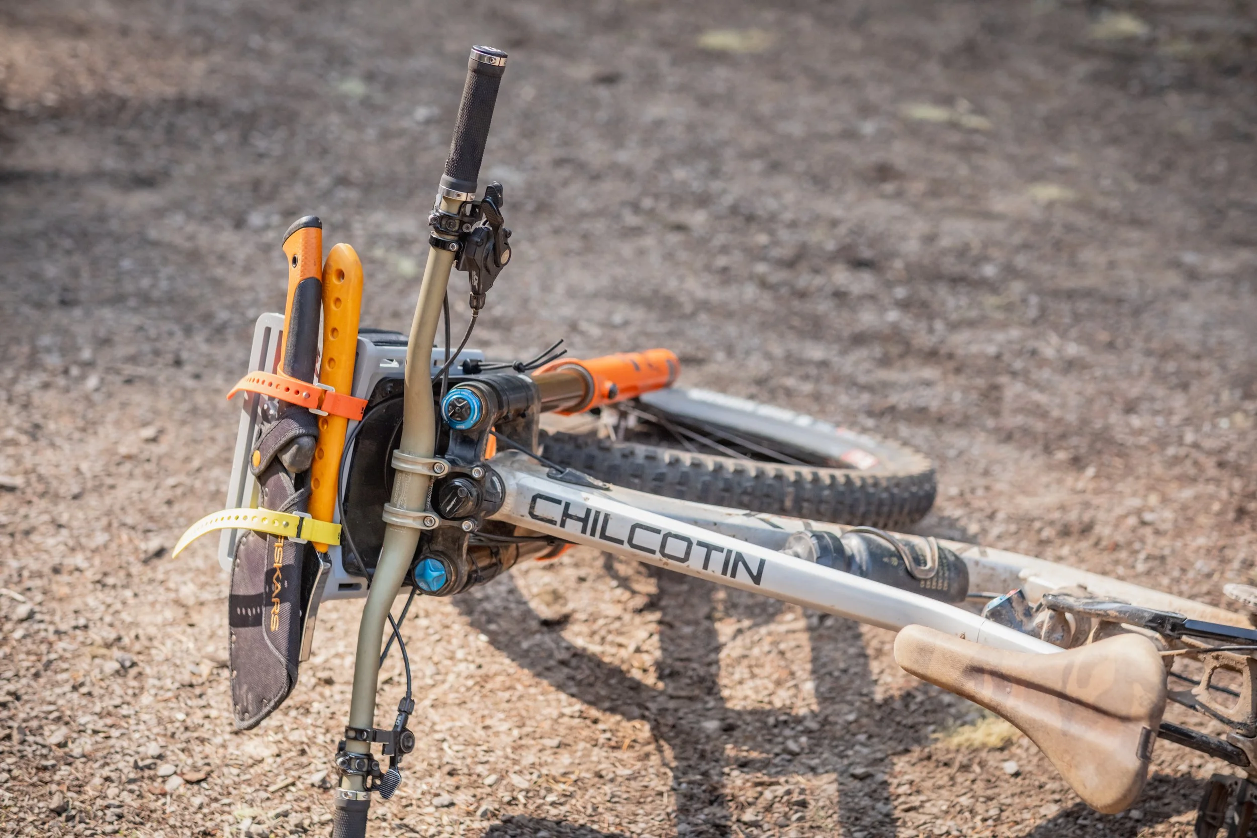 Ressurecting Rhozone 2025-26.jpg