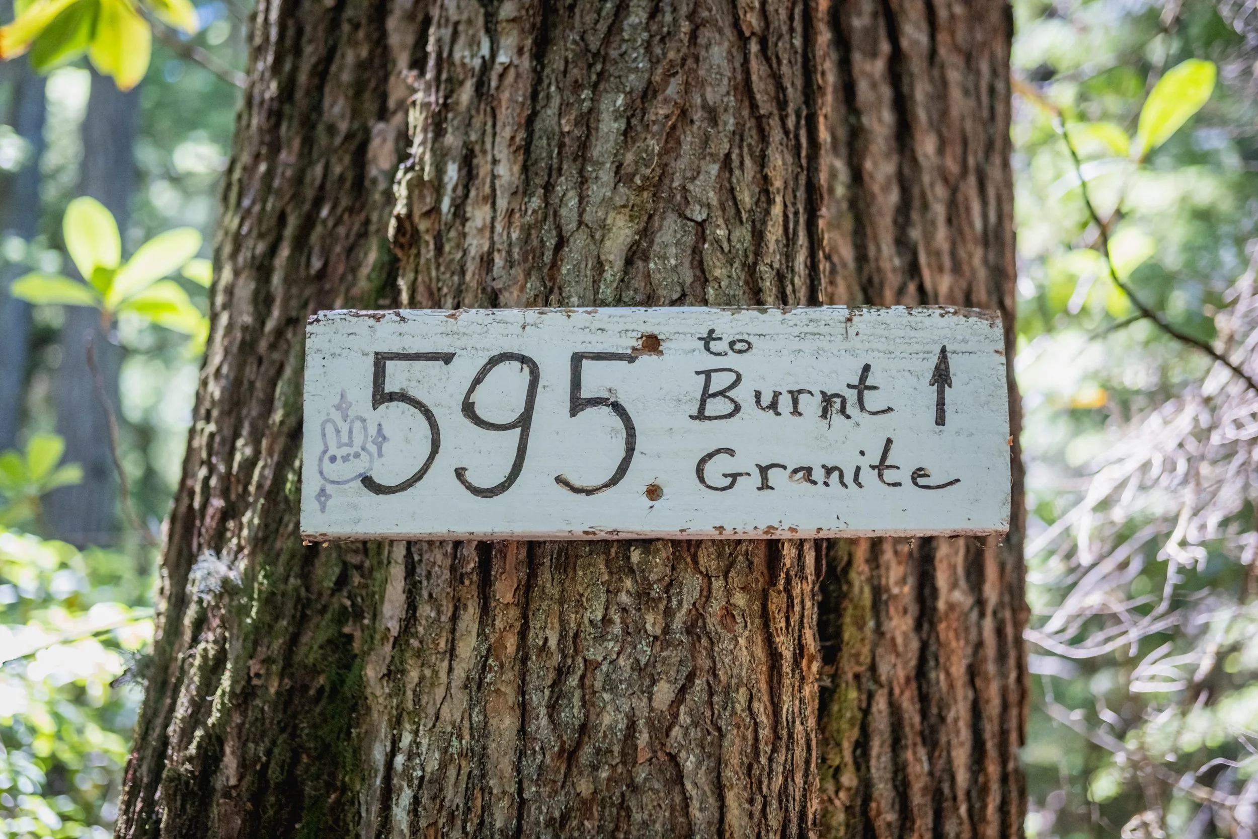 Rhozone Shuttles-12.jpg