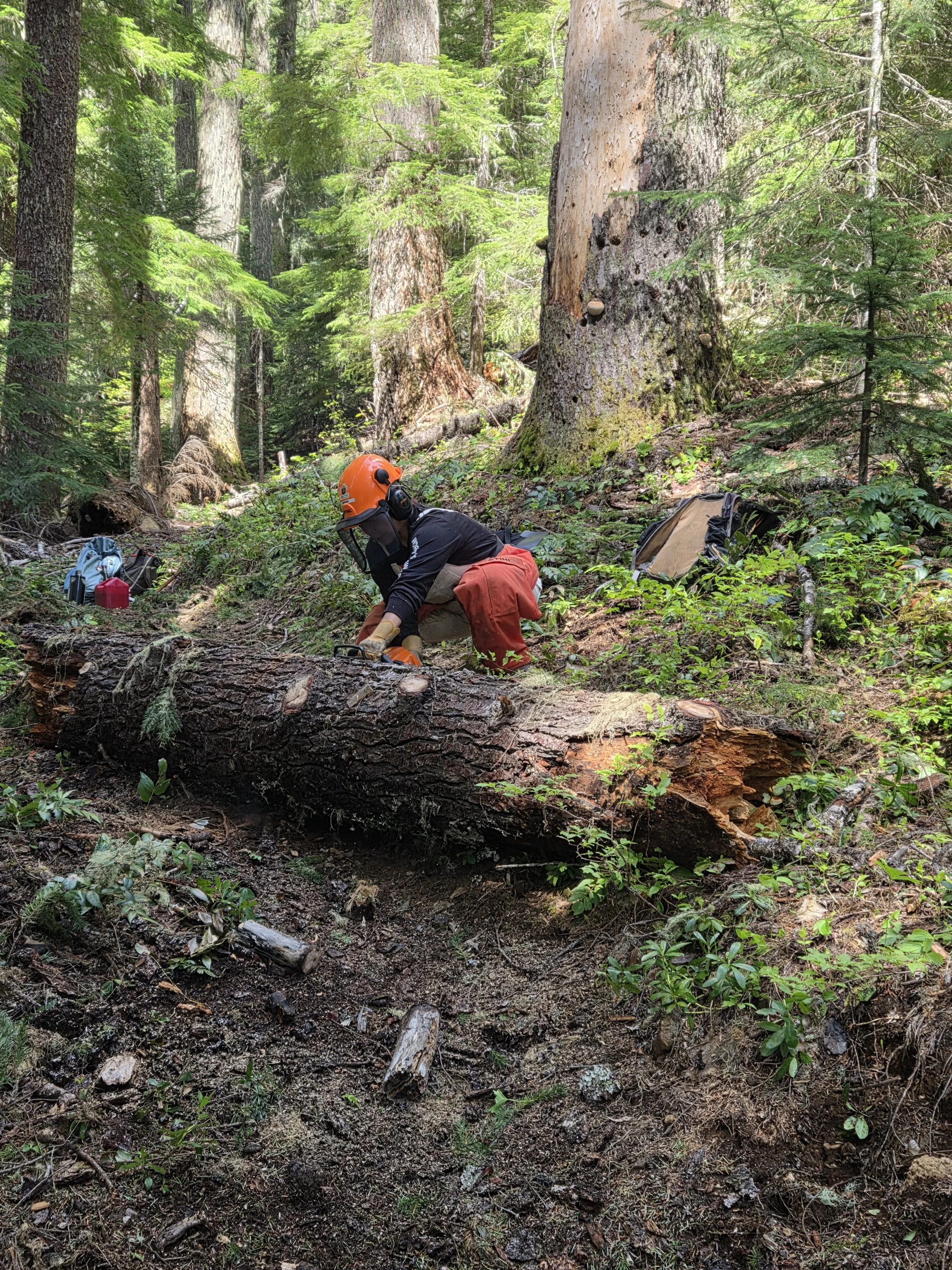 20250525_103649 - mamiko okada.jpeg