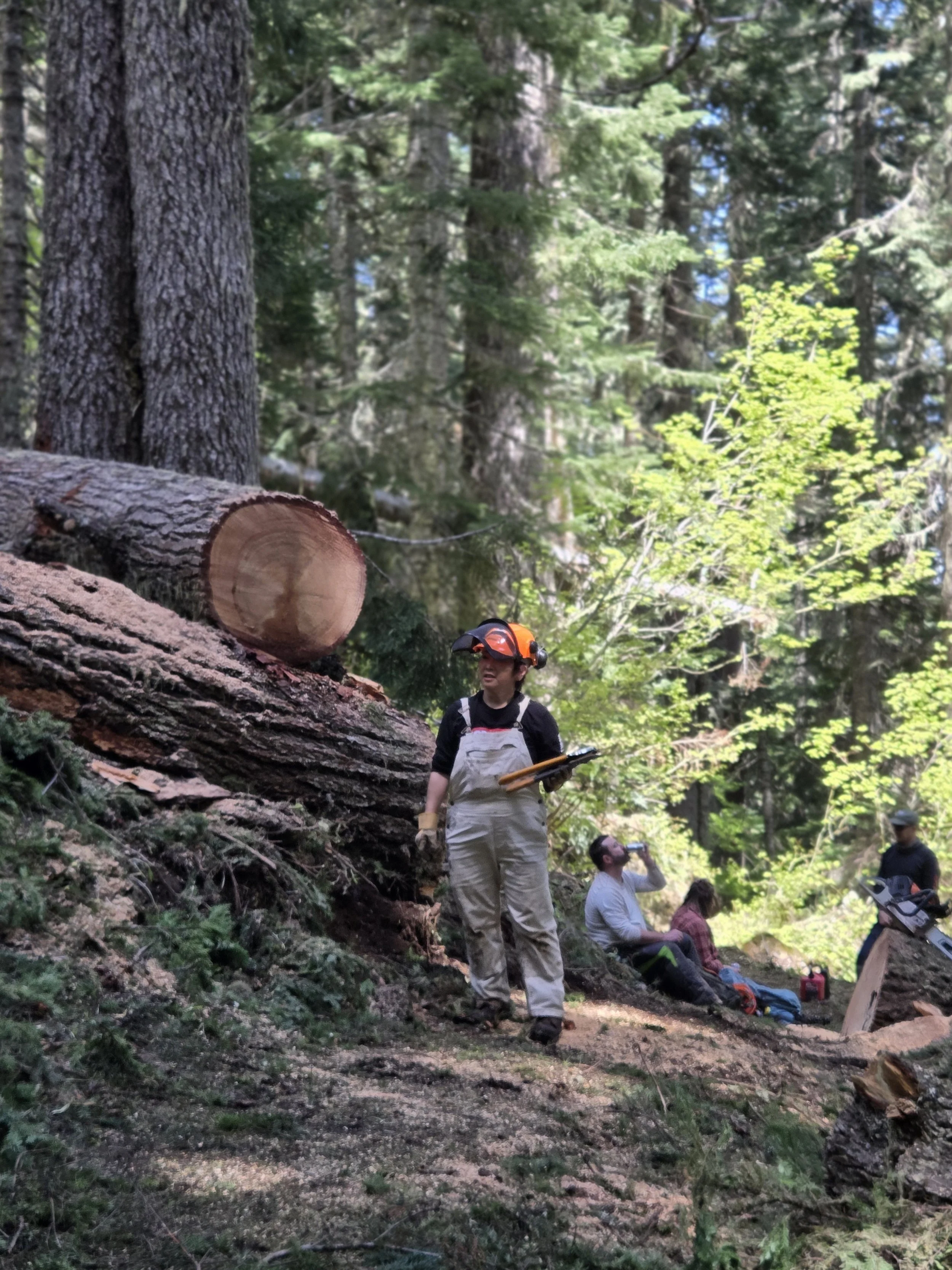 20250525_142215 - mamiko okada.jpeg