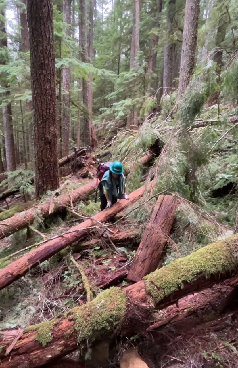 IMG_2721 - mamiko okada.jpeg