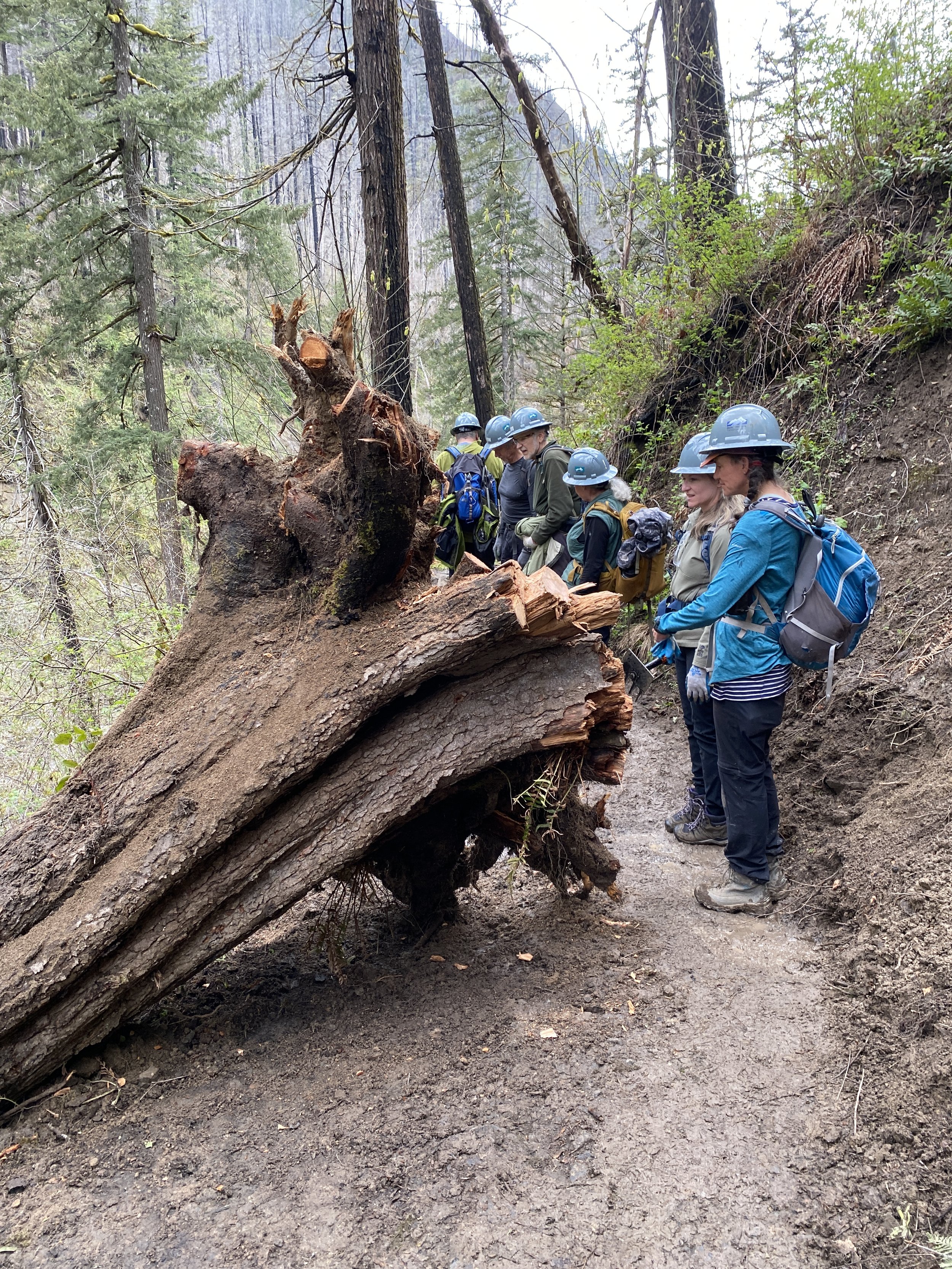 IMG_3157 - mamiko okada.JPG