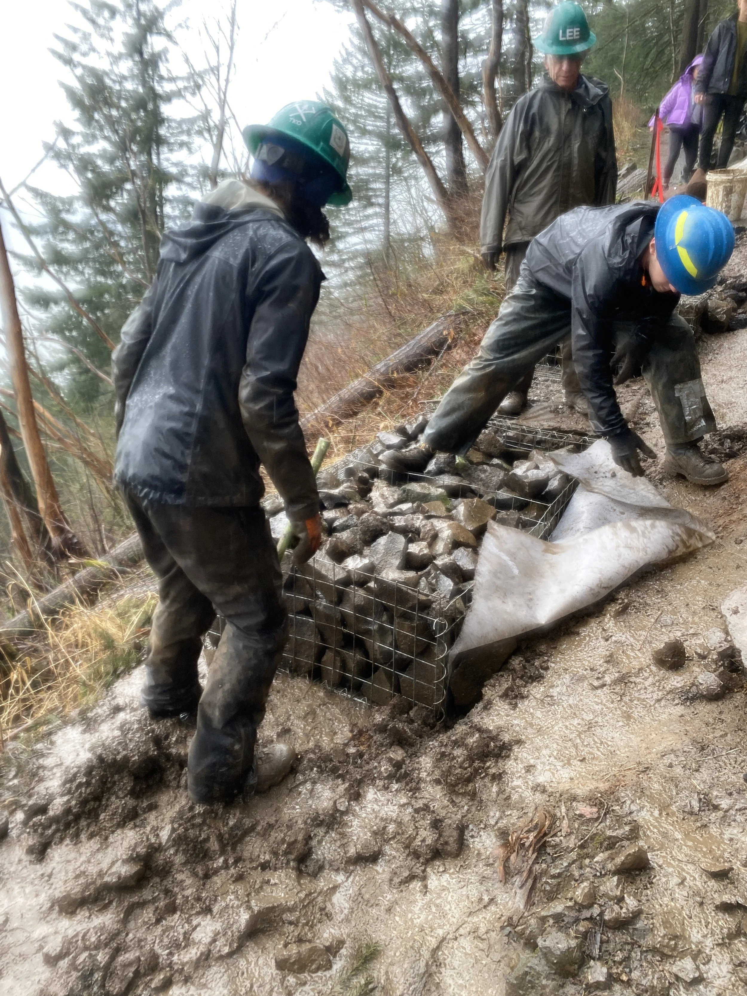 IMG_9982 - mamiko okada.JPG