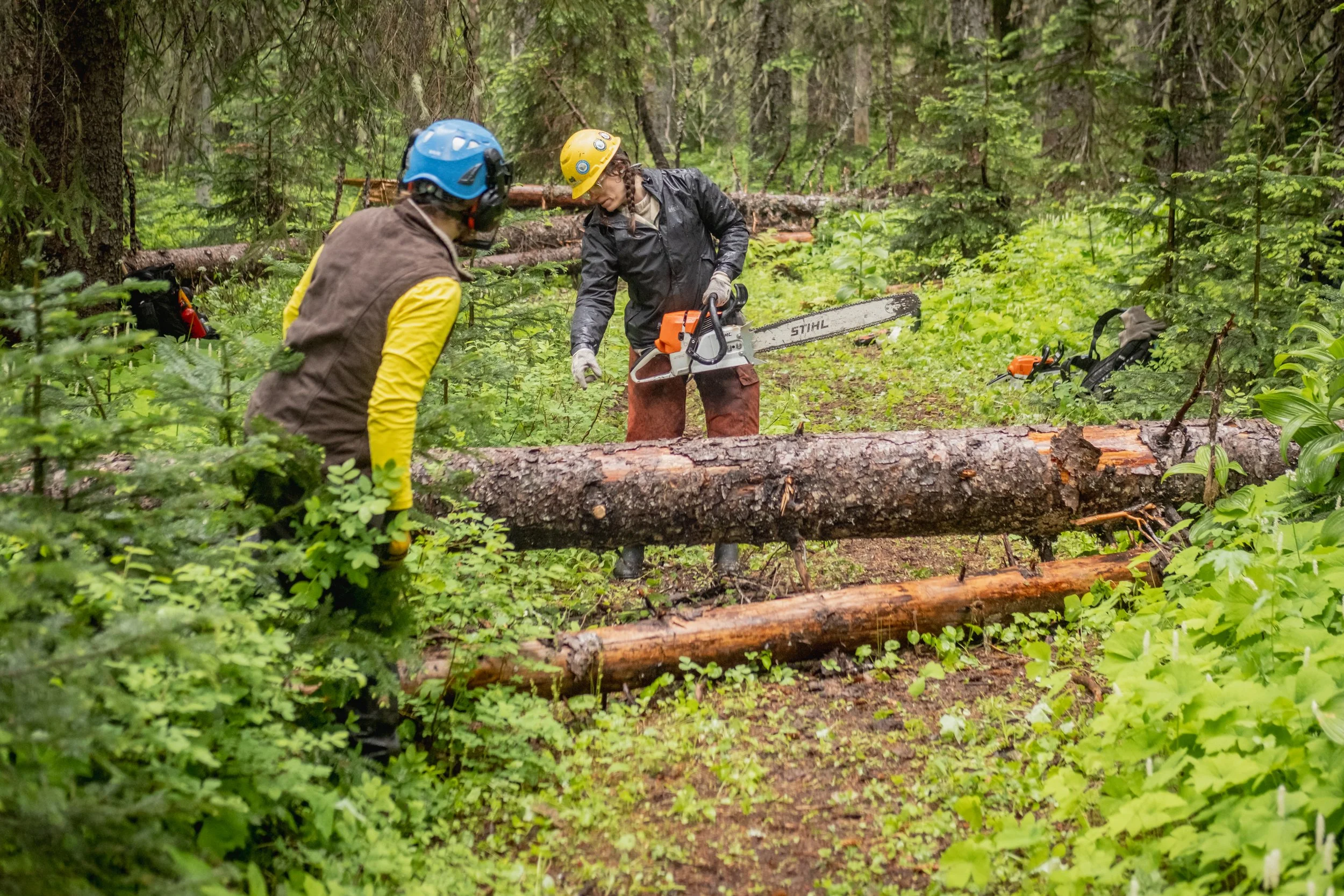 Tillicum Trail Tending 2025-5.jpg