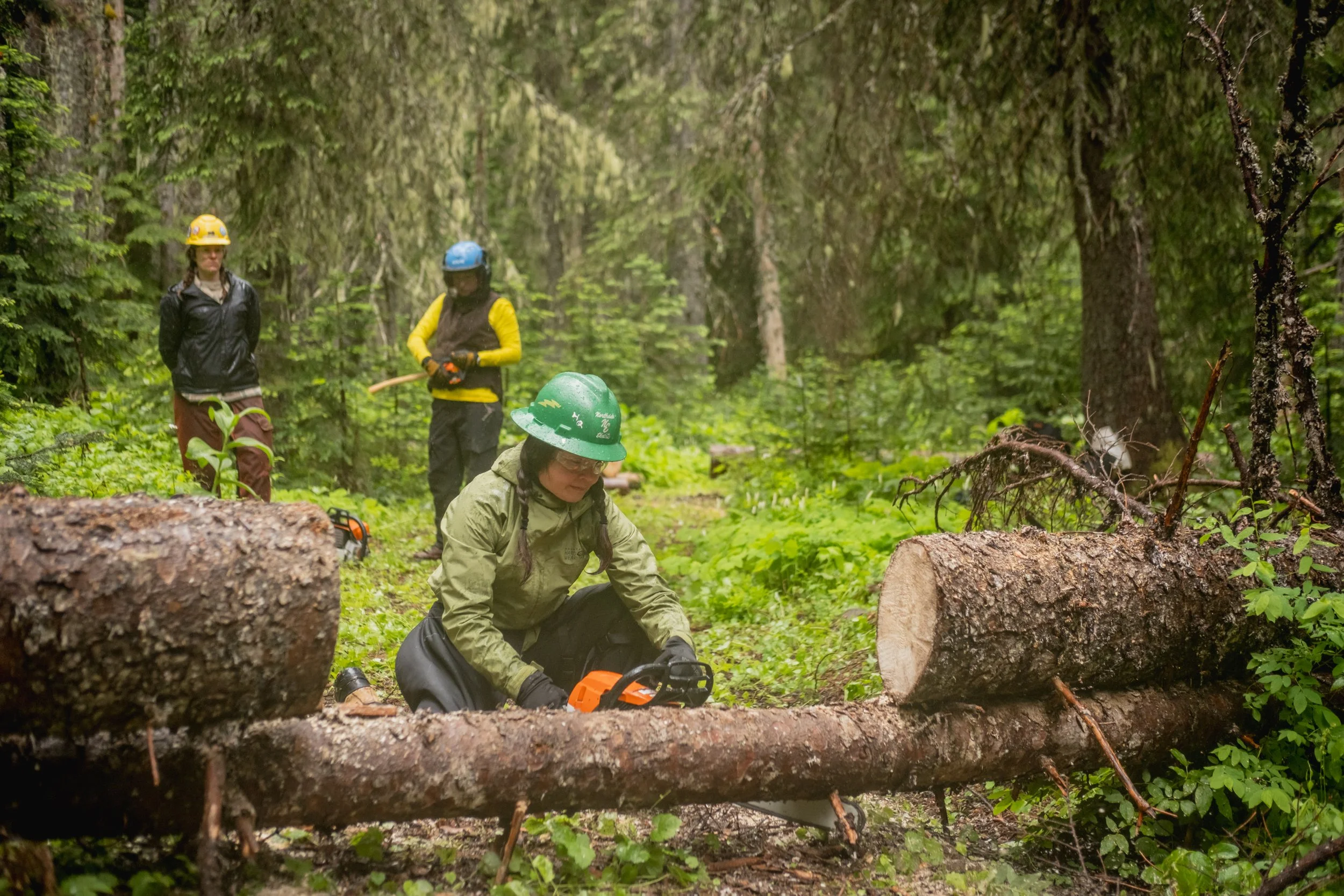 Tillicum Trail Tending 2025-12.jpg