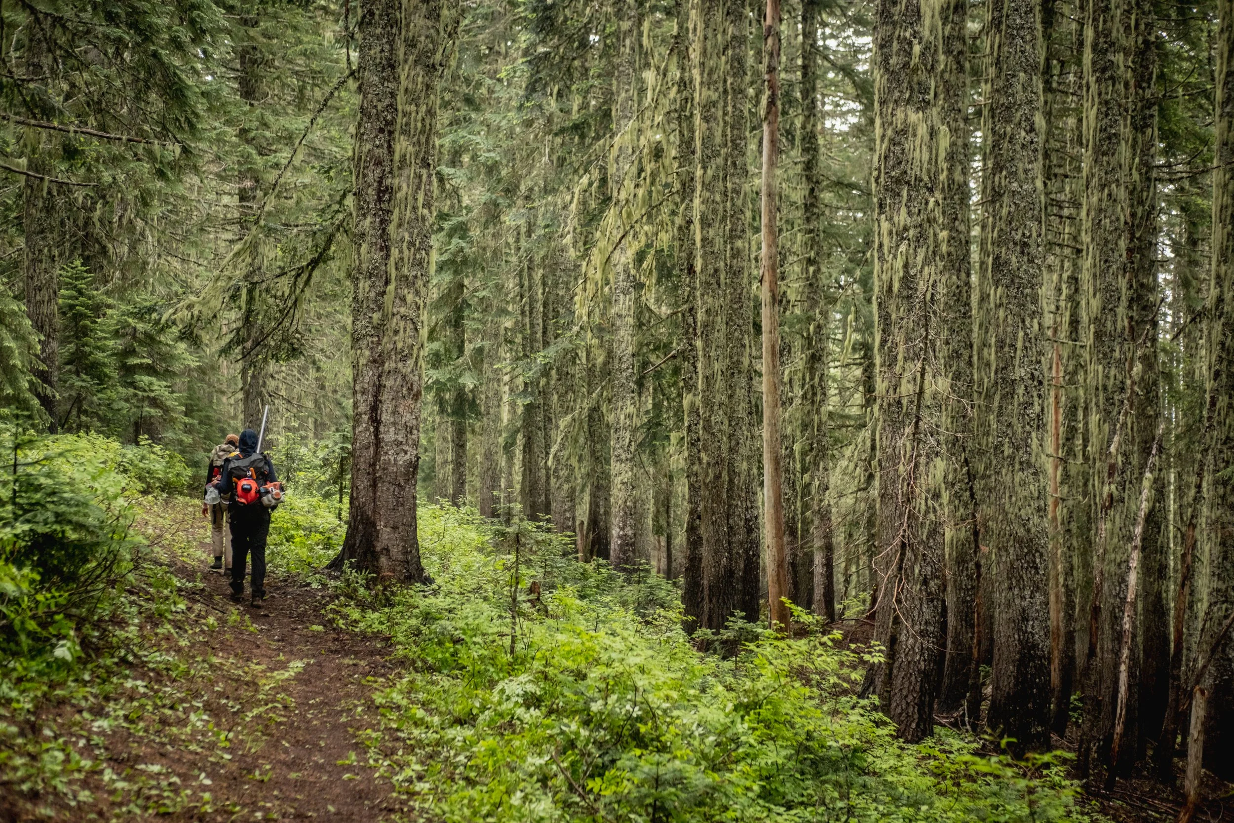 Tillicum Trail Tending 2025-19.jpg