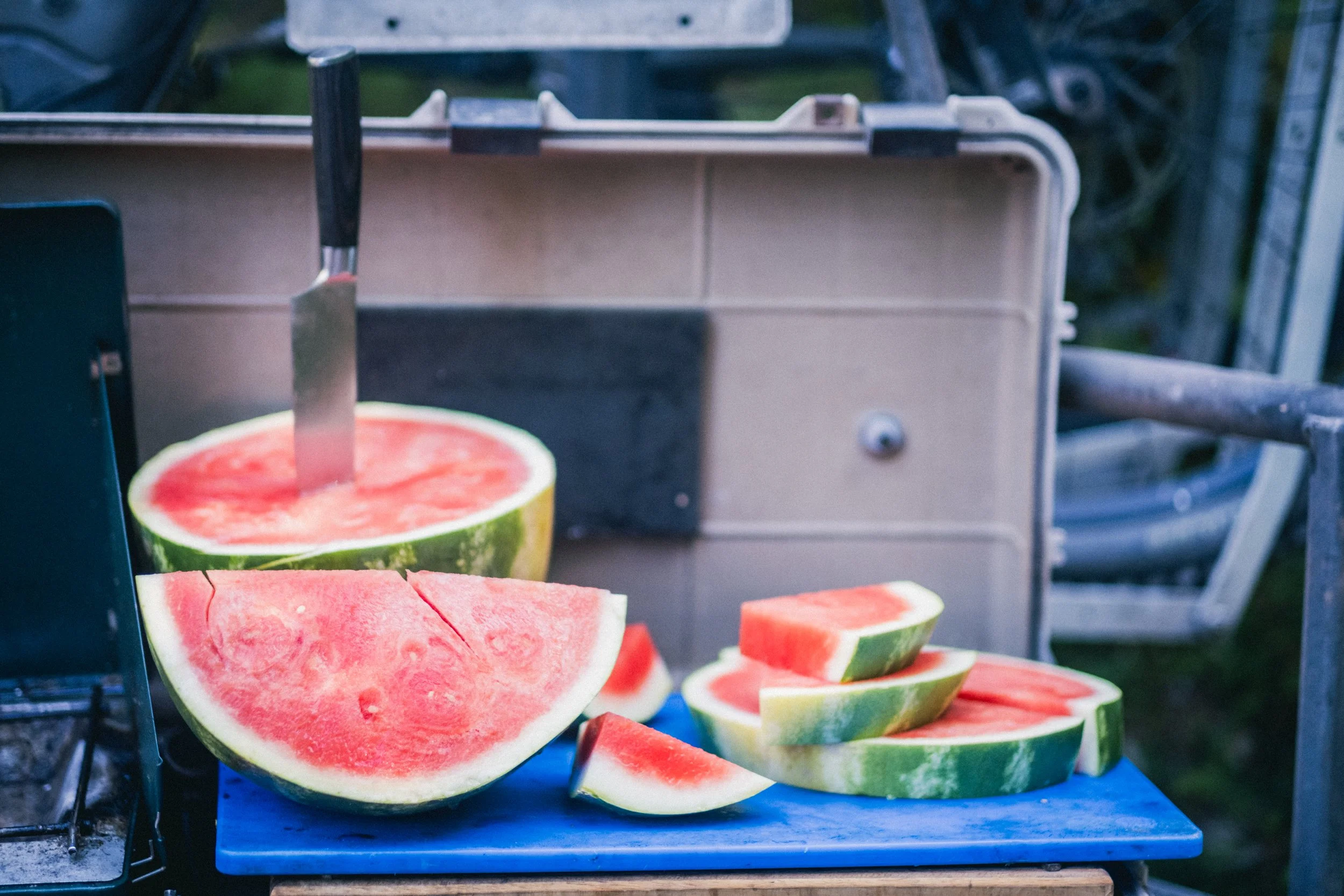 OCC Lakes Loop New Trail Build July -13.jpg