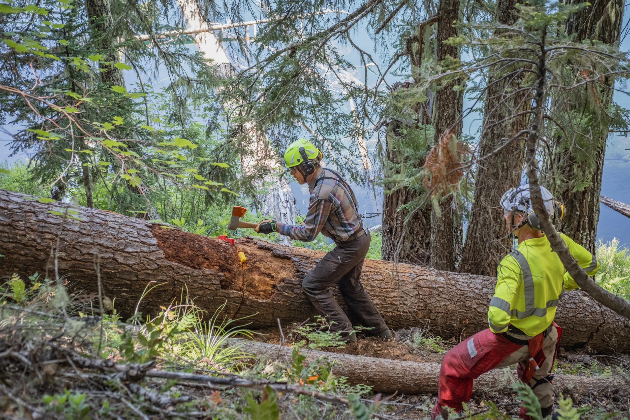 August - Old Cascade Crest New Trail Build