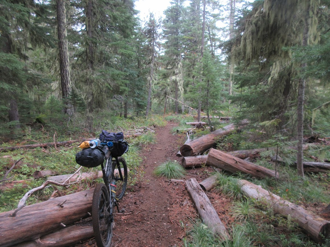 Border to Border on Orogenesis: Part II, Oregon