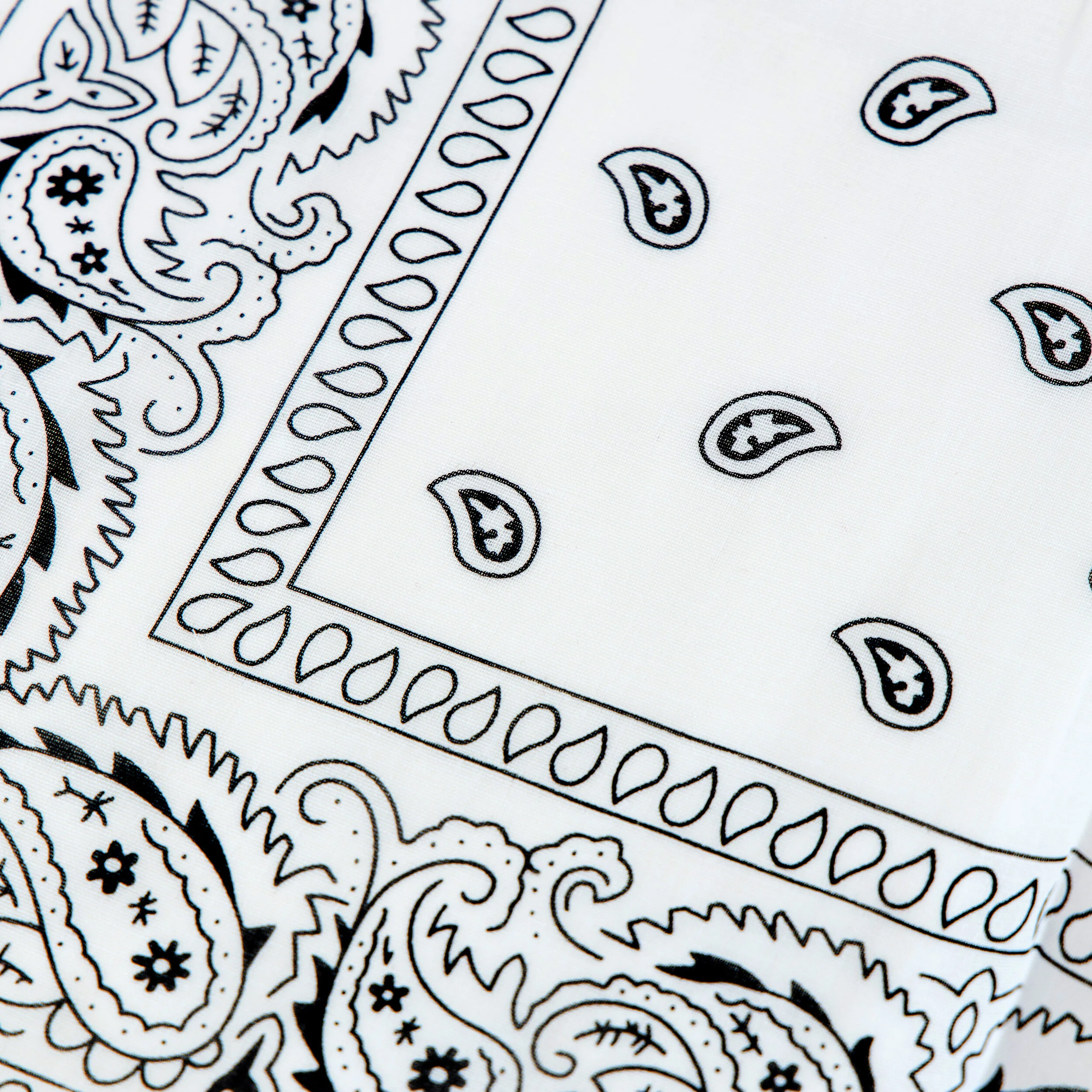 ASF0229WHT_2.jpg