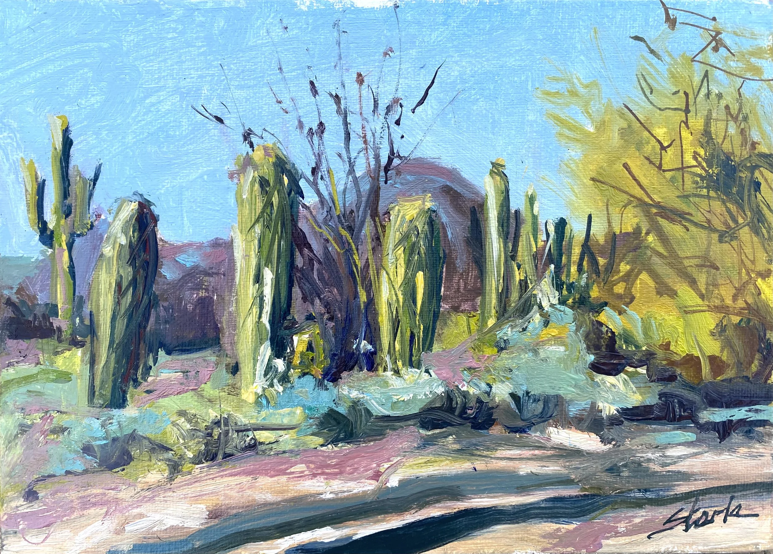 Cactus in the Desert
