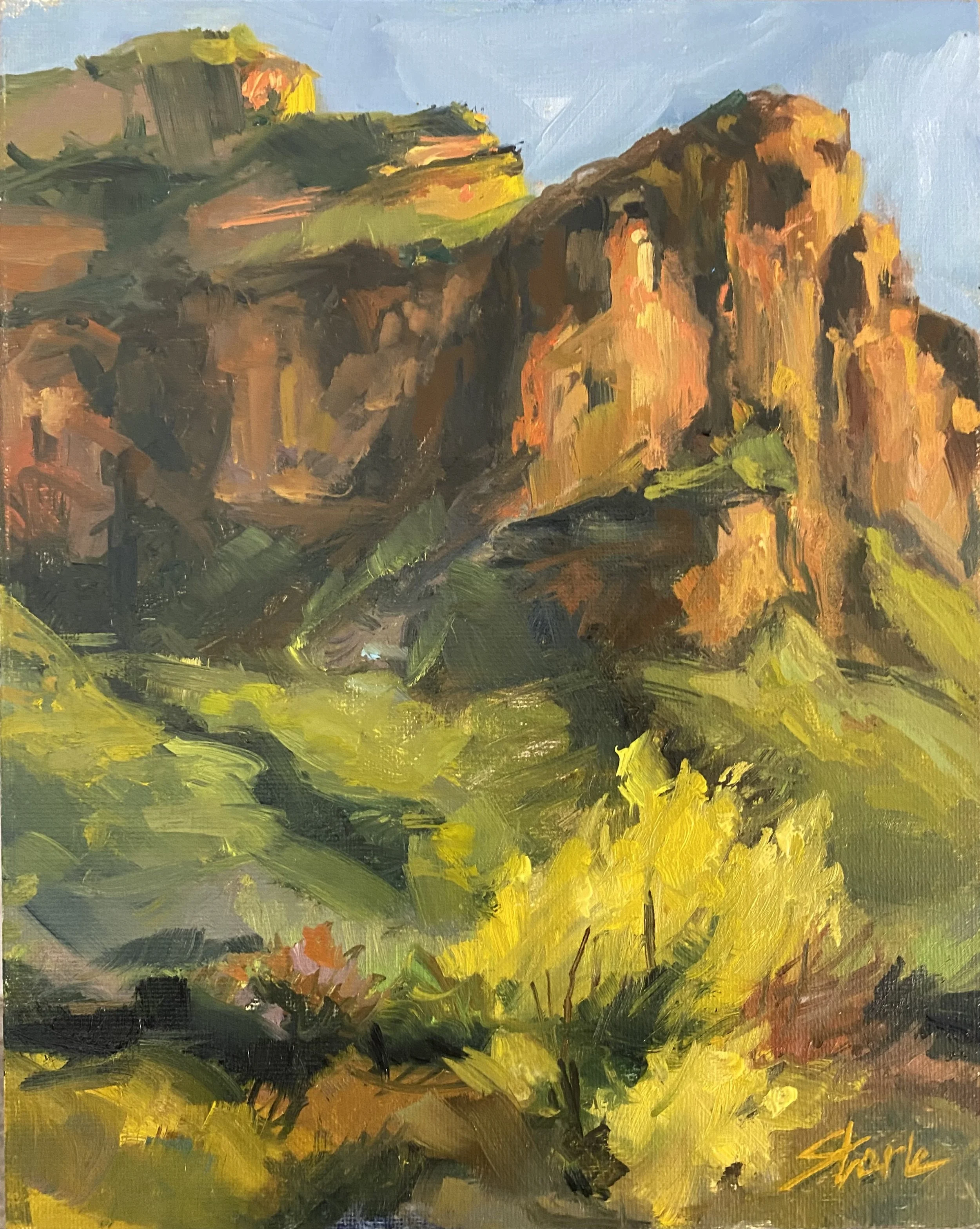 Along the Salt River