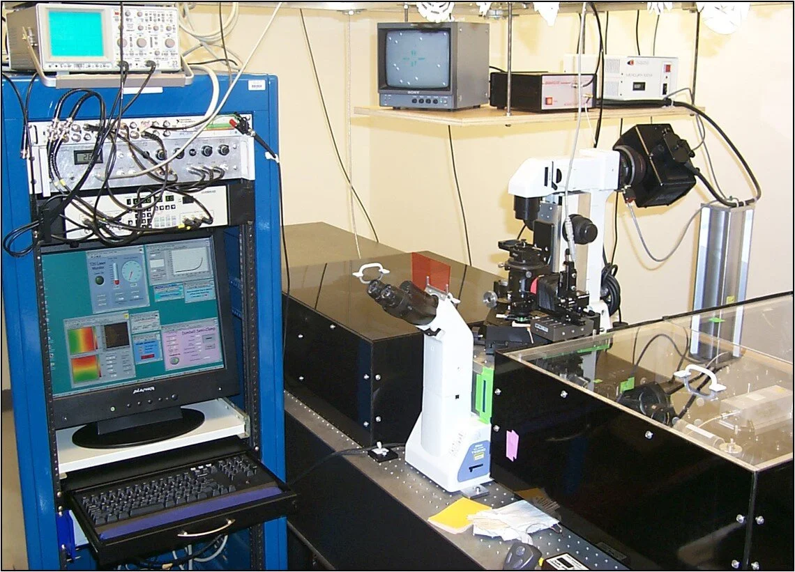 Stanford Center for High-Throughput, Quantitative biology (SciQUBE)