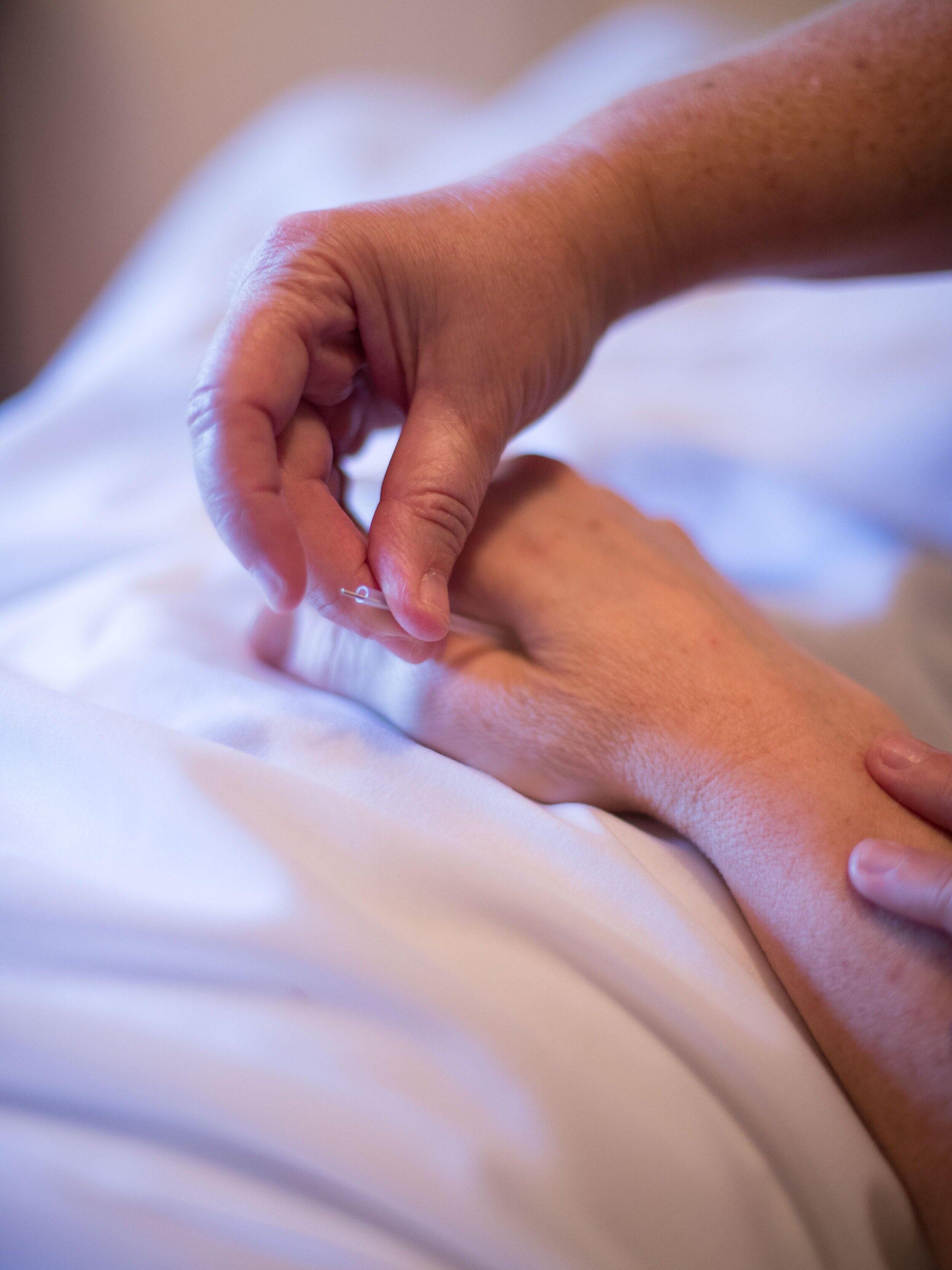 Your Visit — Blue Heron Acupuncture & Apothecary