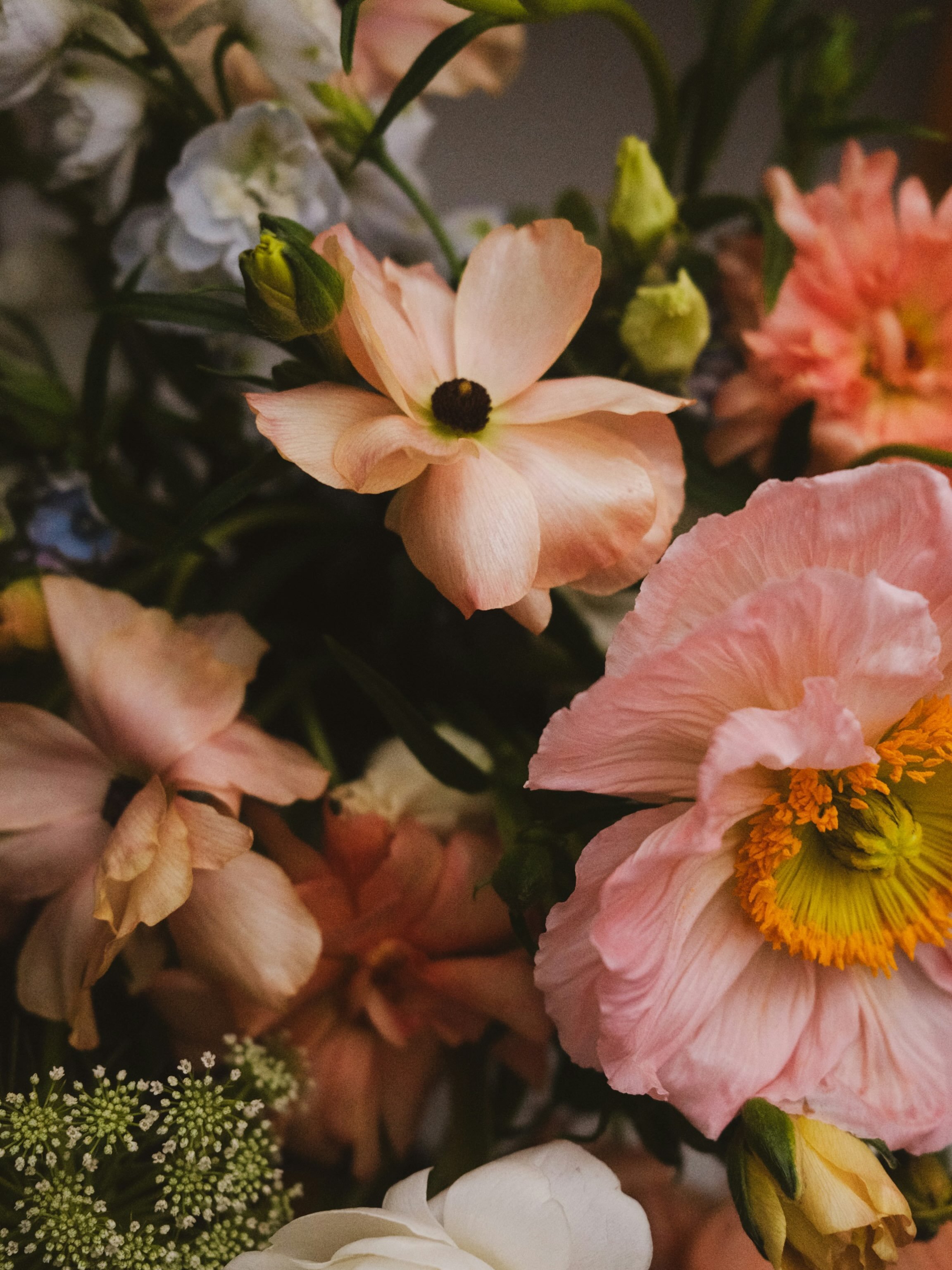 There is a moment in a woman&rsquo;s life when her body begins asking for something different.

Sleep may become lighter.
Temperatures may rise without warning.
Cycles may change.
Emotions may feel closer to the surface.
Energy may ebb and flow in un
