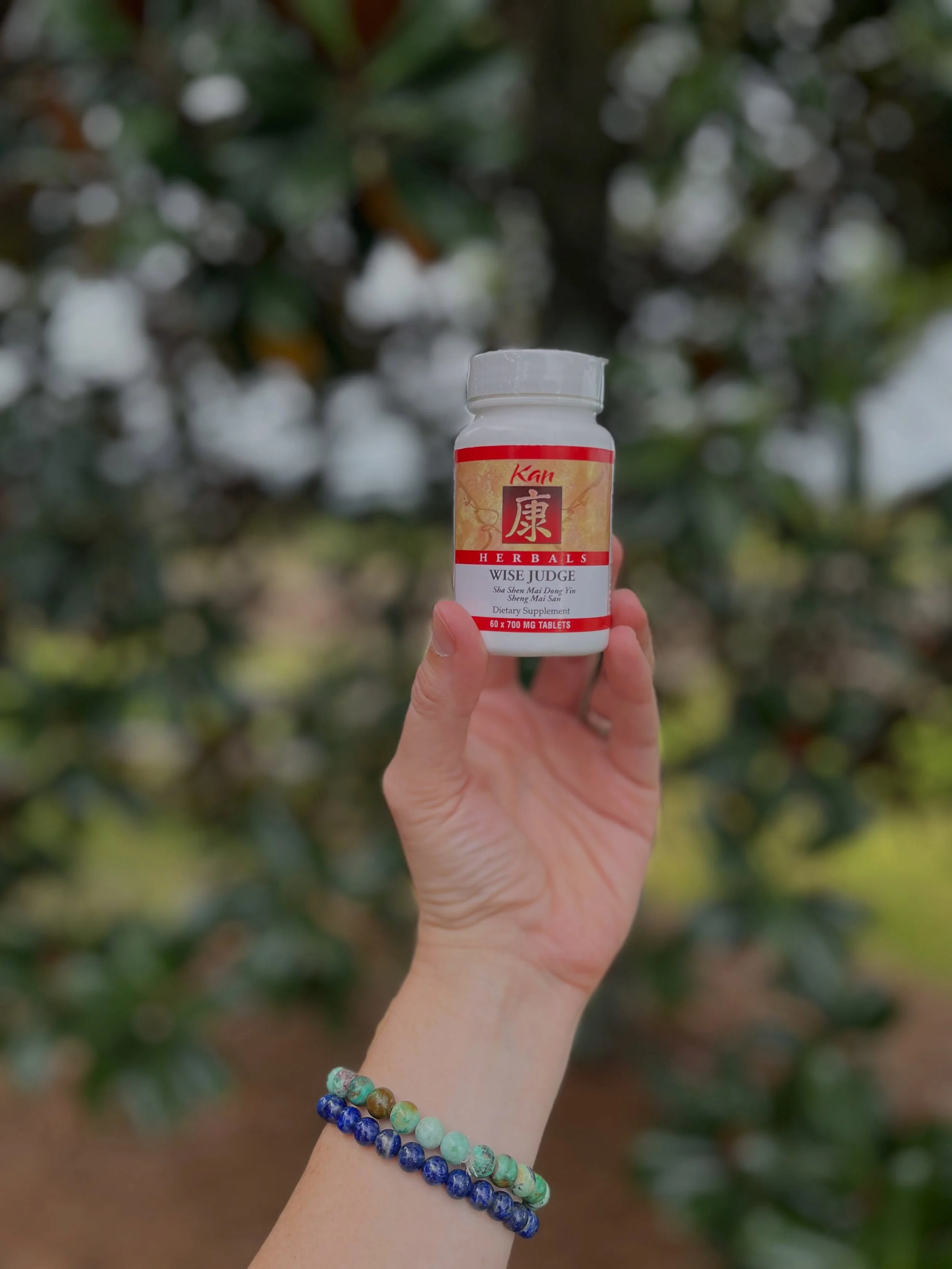 There is a wisdom in the exhale.

In Chinese medicine, the Lung teaches us the art of receiving and releasing&mdash;taking in what is nourishing, and gently letting go of what no longer belongs.

It is the rhythm of breath.
The boundary between self 