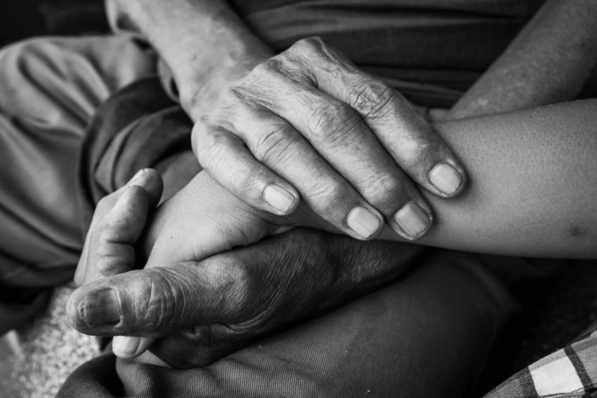 Grief and Loss Therapy