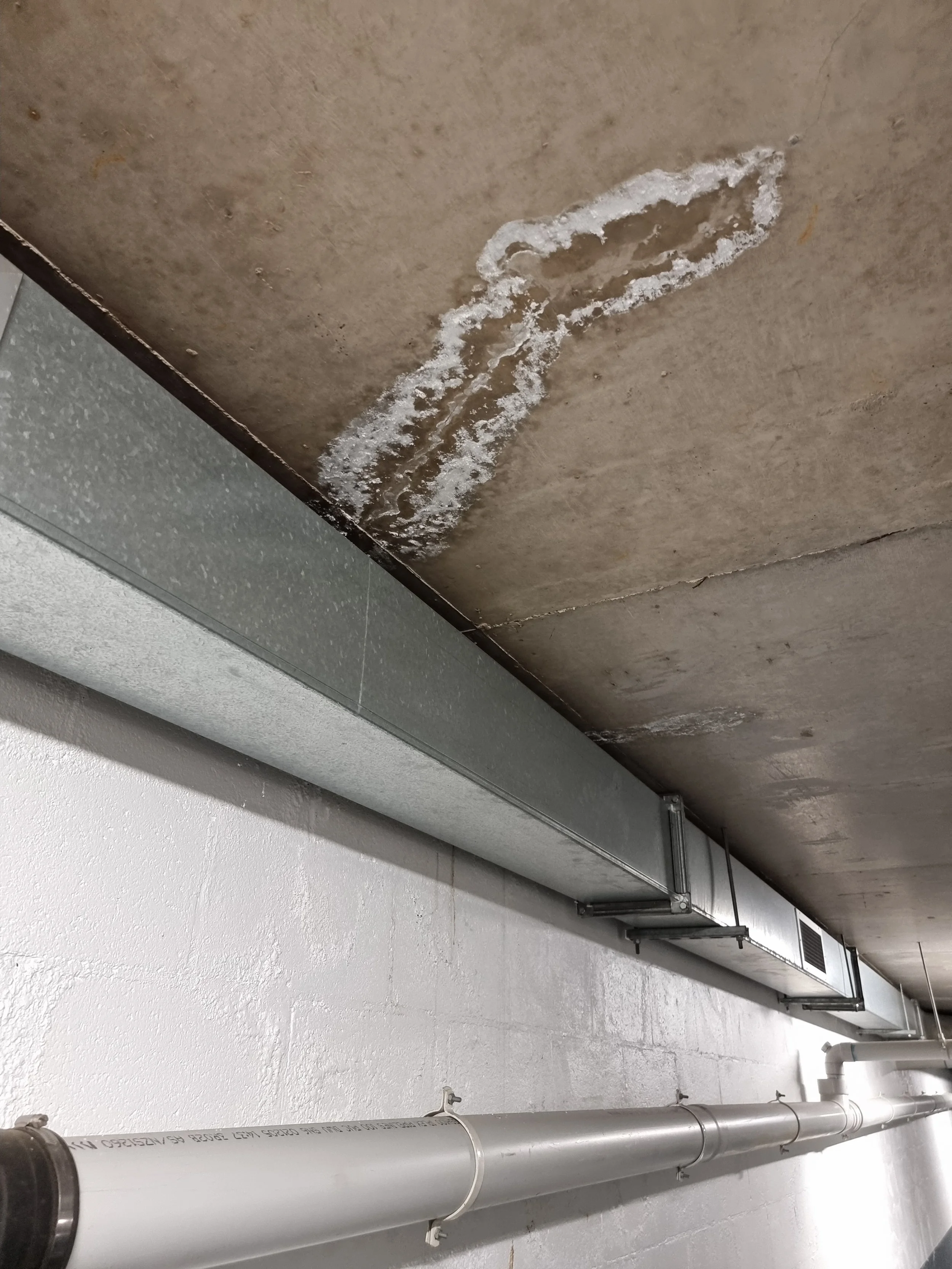 A leaking underground carpark, experiencing water ingress and efflorescence, in Melbourne.