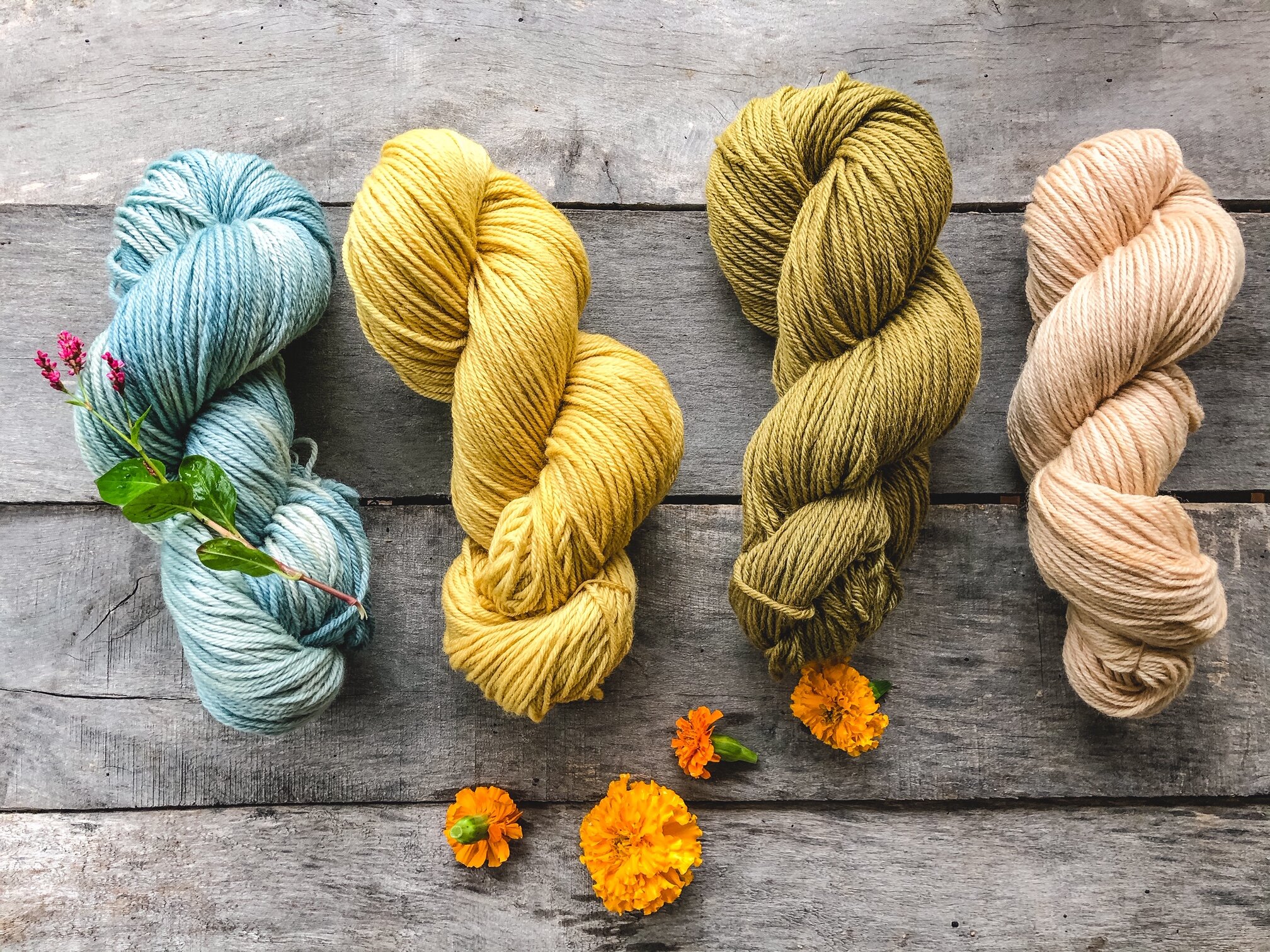 Colors from the garden: Growing natural dyes — make gather grow