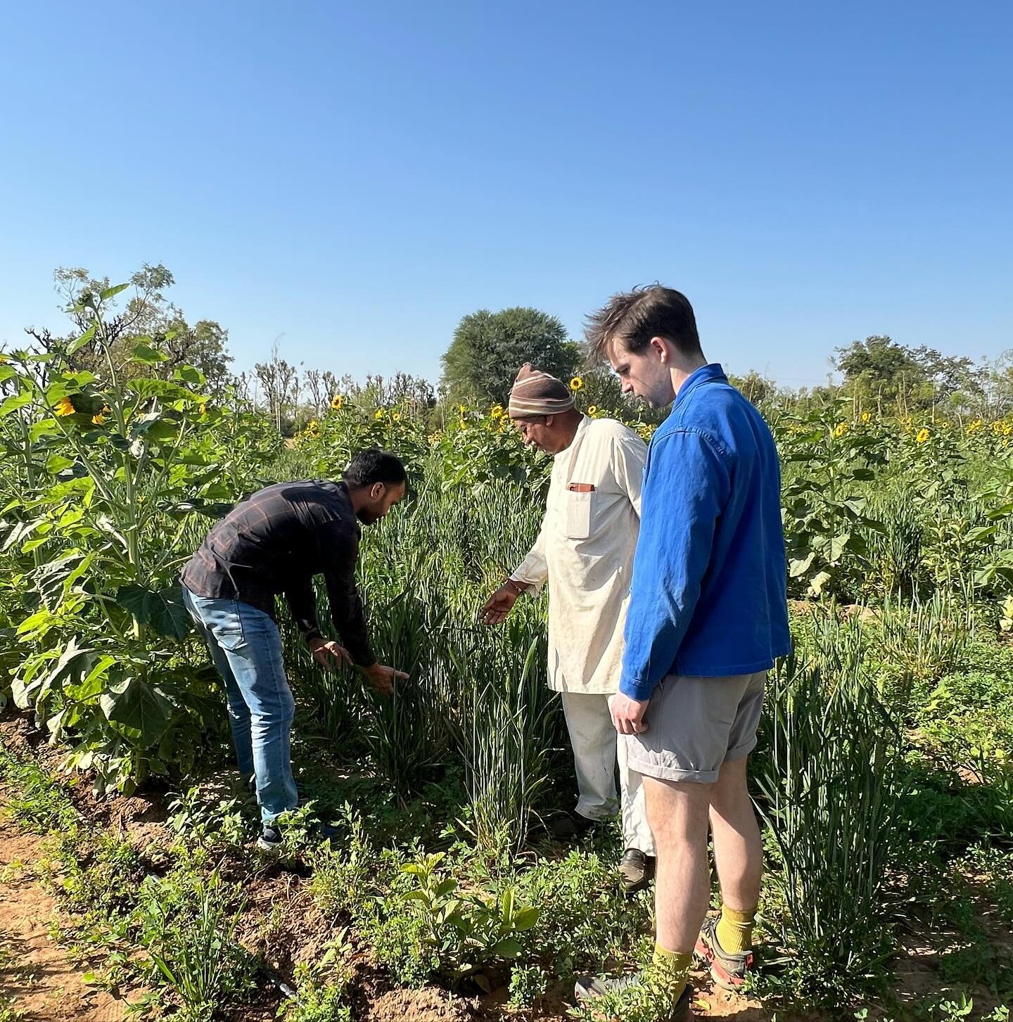 When you start a new job and your first work week takes you to INDIA to visit regenerative farms and meet farmers and new colleagues&hellip; It was an inspiring beginning with Materra @materra.tech .