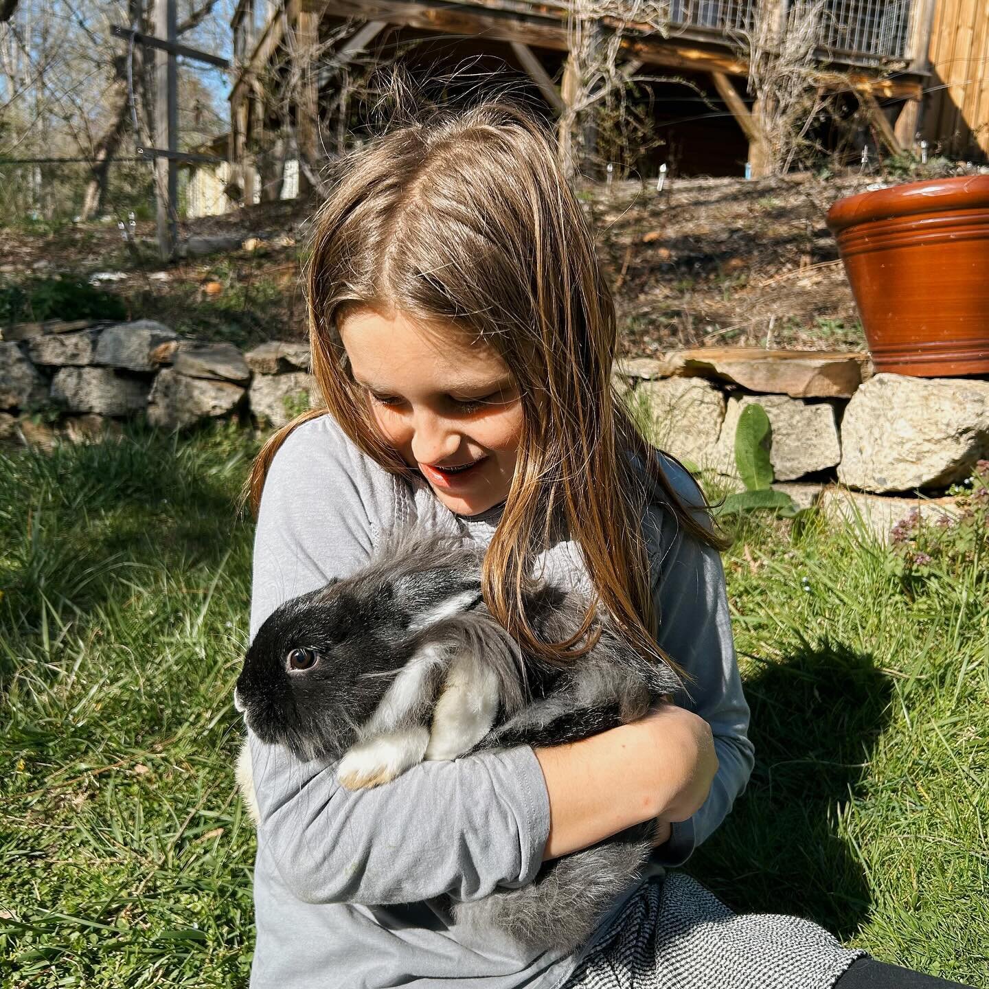 Easter Bunny! 💛🐰💕 

We get to take care of our friends&rsquo; sweet dwarf bunny Oreo for a week &mdash; and the timing couldn&rsquo;t be more perfect. He doesn&rsquo;t know what to make of chocolate bunnies though.