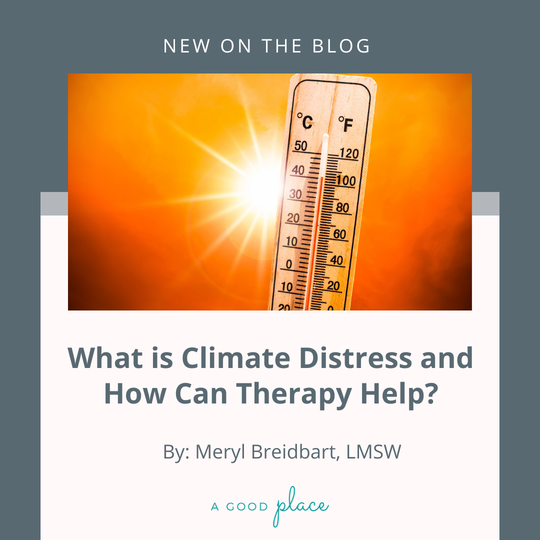 What is Climate Distress and How Can Therapy Help?