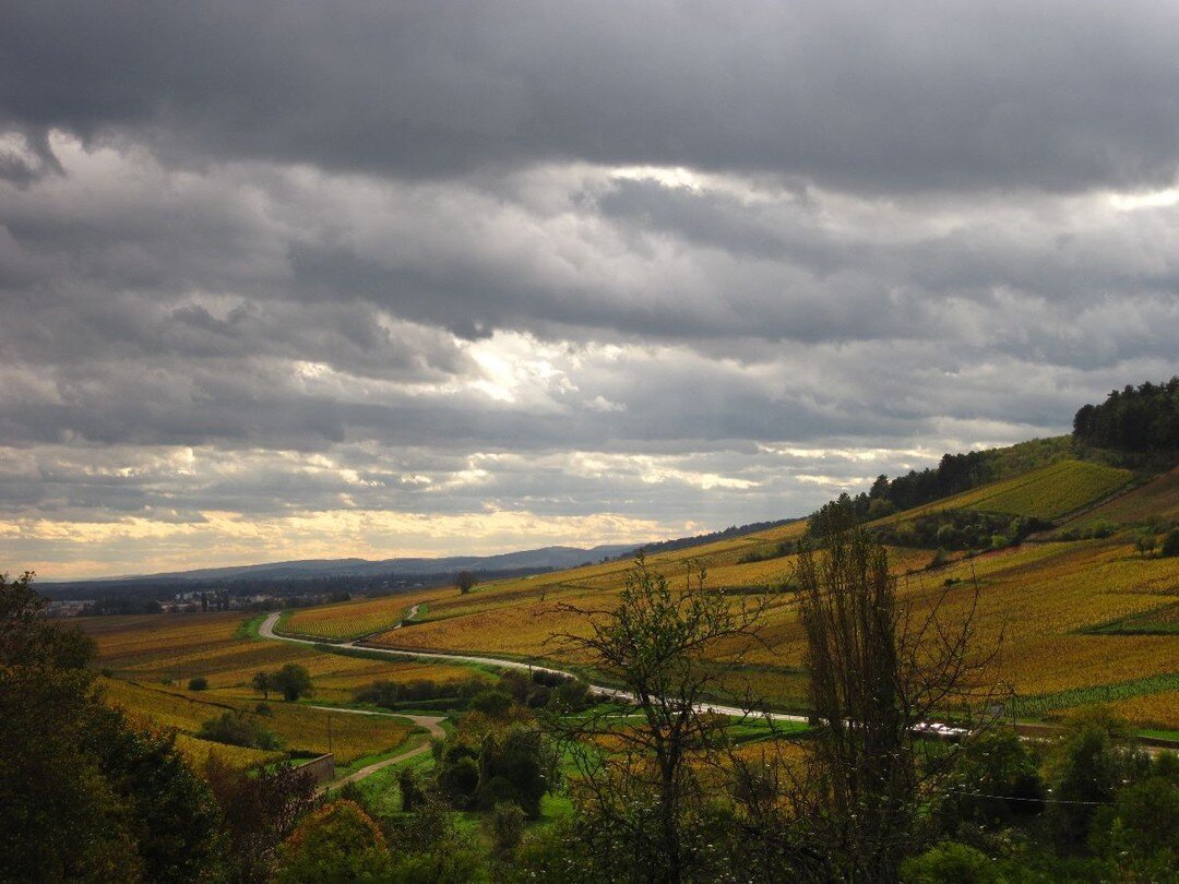 The best view in the world. 🇫🇷 Read about my experience as a student in France in the latest entry in the Vineyard Journal. Link in bio. #womanwinemaker #france #burgundy #beaune