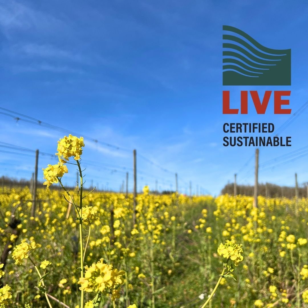 Did you know? Our Tukwilla Vineyard is LIVE Certified!  LIVE certifies vineyards and wineries throughout the Northwest that support a whole-farm, whole-systems approach to agriculture. 
For us at Burton Bittman, it's part of our mission to support su