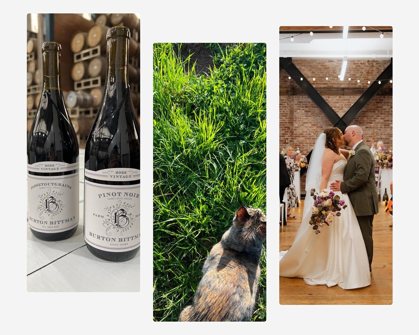 Wow, what a Spring! Bottled the 2022 vintage in snazzy new @revinobottles (releasing soon!), tended the vineyard for an early bud break, and got married! 

The fun doesn&rsquo;t stop there: This Saturday, we will be slinging wines at @indiewinemixer!