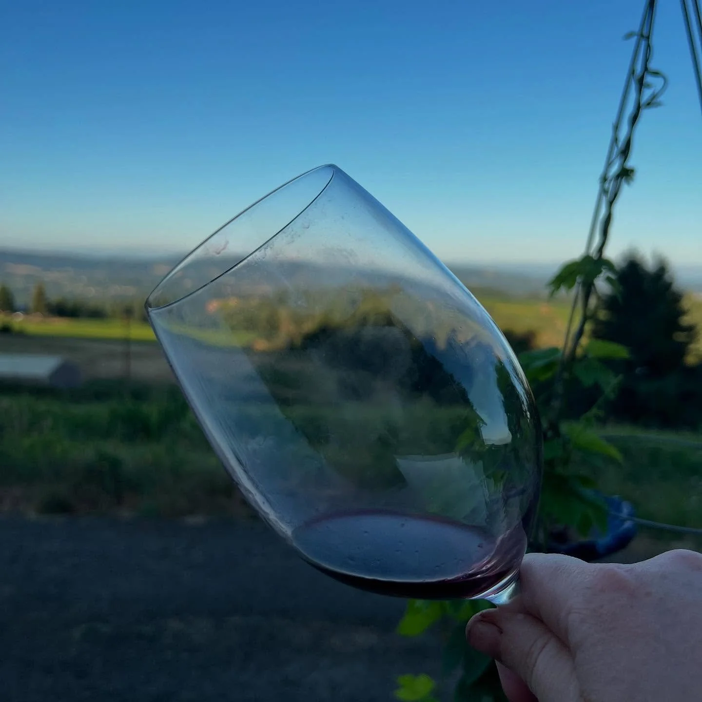 Winemaker Sunday Night: highlighting a great wine!
The work @vitalwines makes possible is so important. Doesn&rsquo;t hurt the Syrah is banging. 😎 
What wine did you share for Sunday dinner?
#winecountryliving #winemakerslife #washingtonwine #