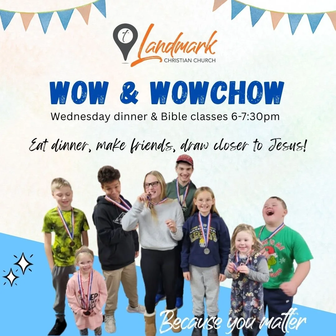 WOW & WOW Chow