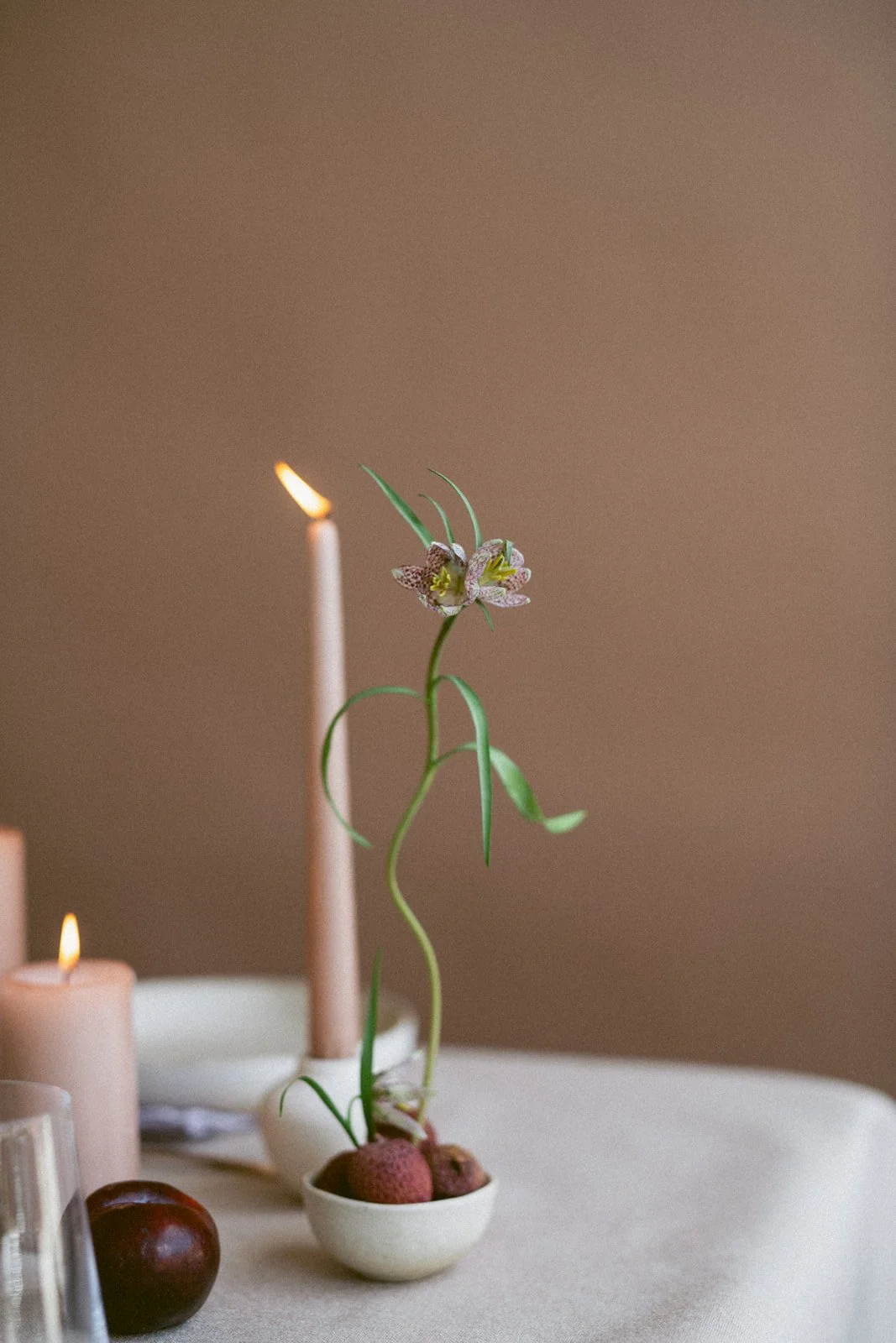 A small plant with a flower growing from a bowl with potatoes on a table, with lit candles and a glass nearby.
