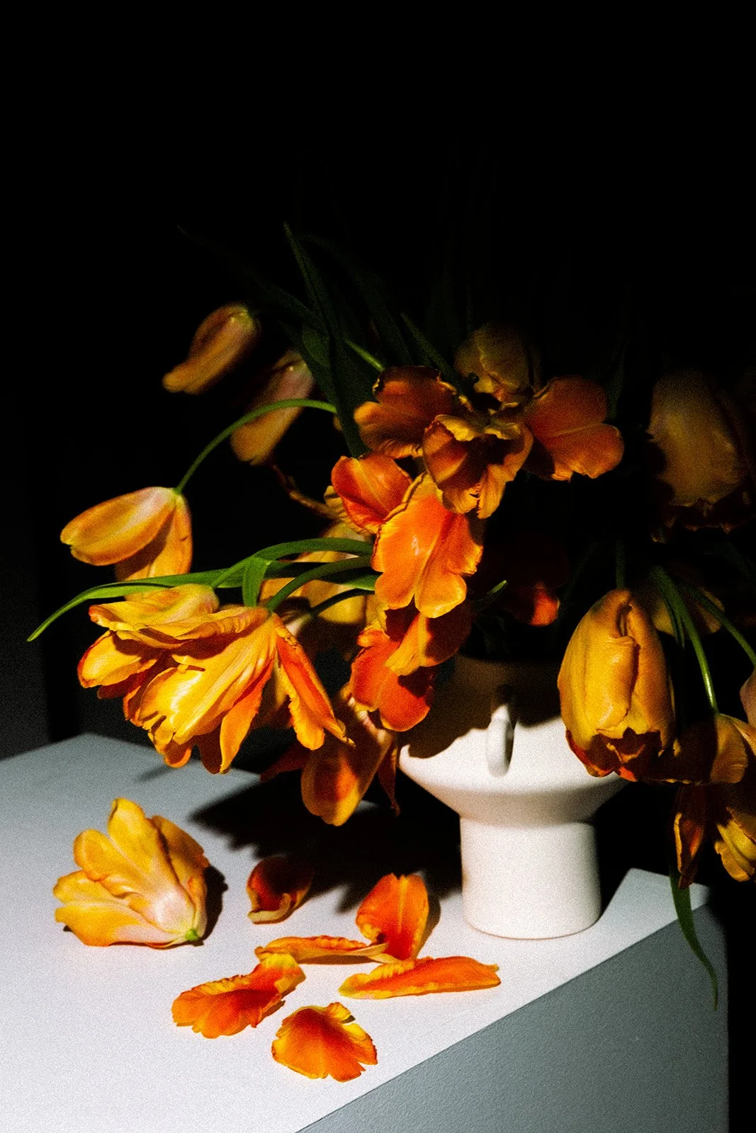 kate-rutter-preview (39 of 73).jpg