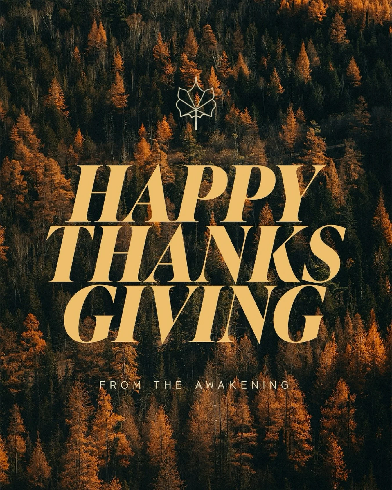 여호와께 감사하라 그는 선하시며 그의 인자하심이 영원함이로다

[대상16:34]