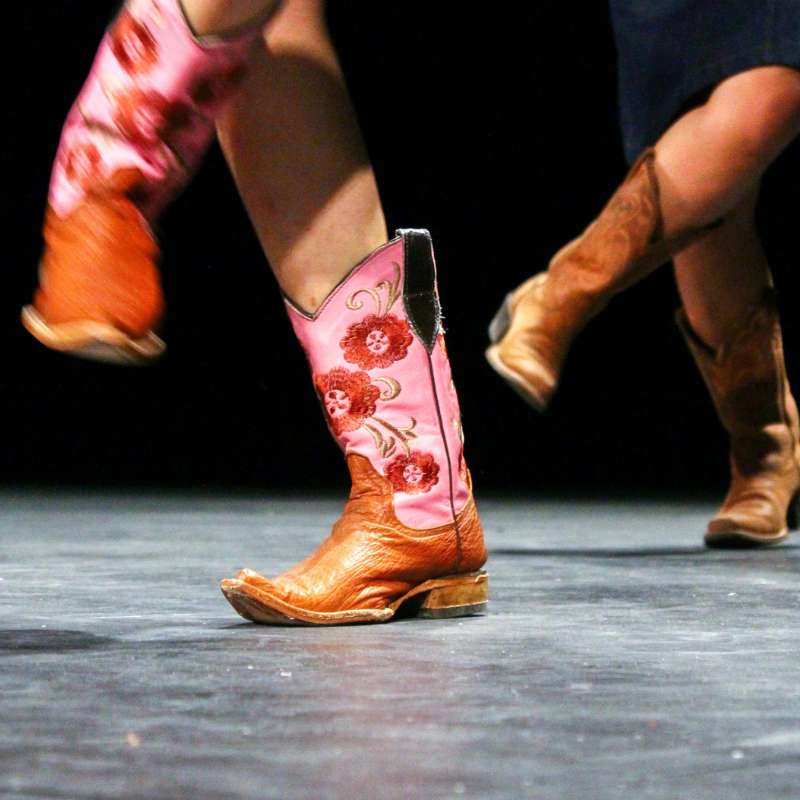 Term 2: Line Dancing - Beginners (Register Your Interest)