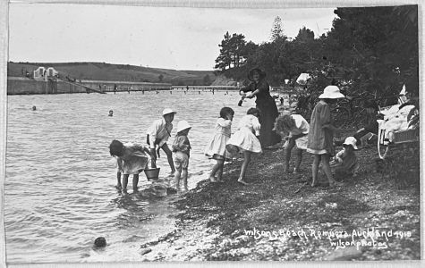 Echoes by the Bay: Tales of Cricket and Coastlines