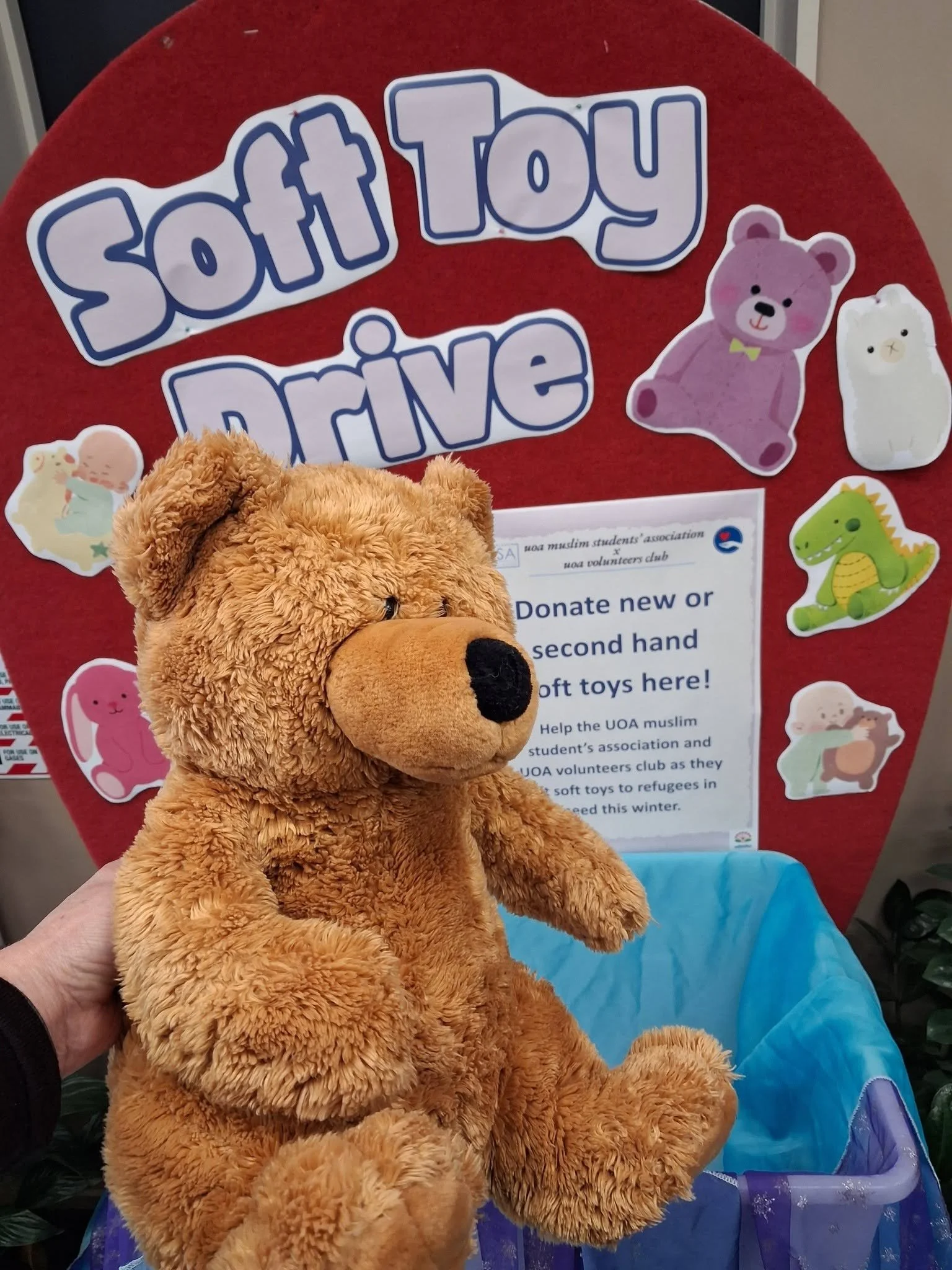 Sharing the Joy of Fluffy Toys!