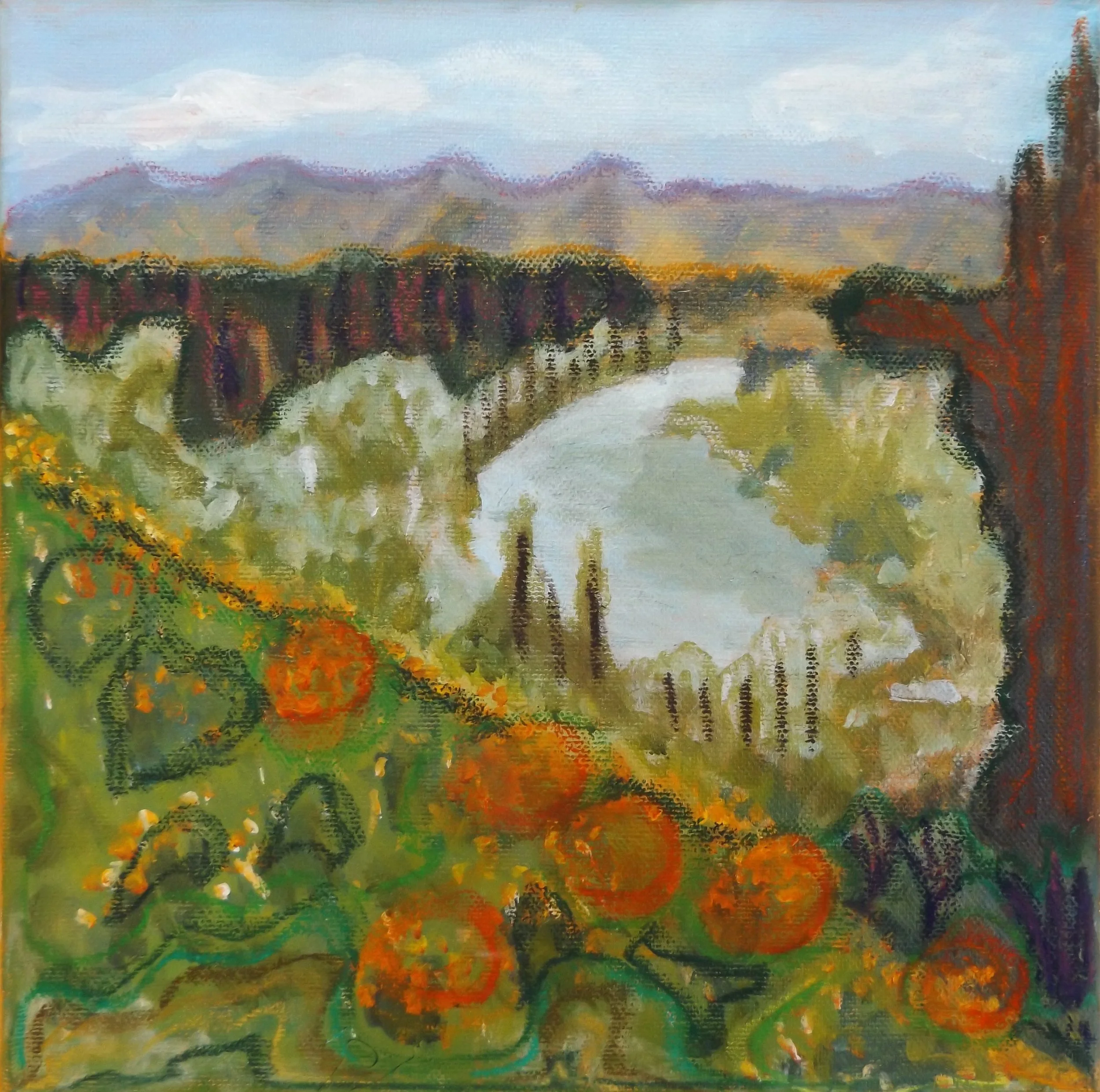 Clutha Poppies - Elizabeth Wilson