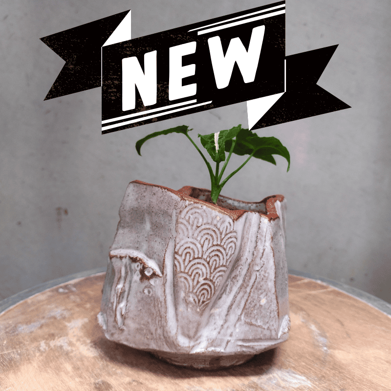 NEW! Ceramics: Hand-Building Clay - Kurinuki