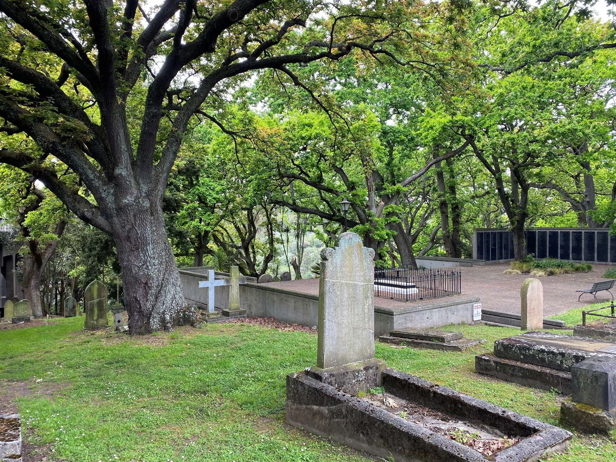 20191009_210918535_iOS.jpg
