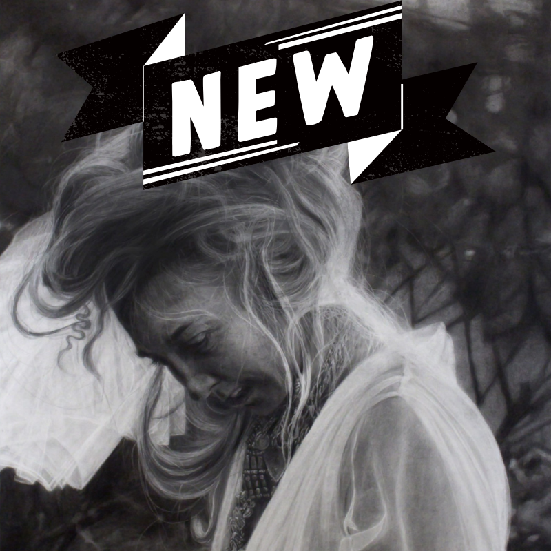 Portrait Drawing in Graphite - Beginners