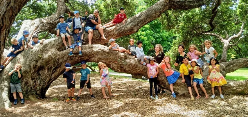 Visiting the Kilbryde Pōhutukawa at Dove-Myer Robinson Park