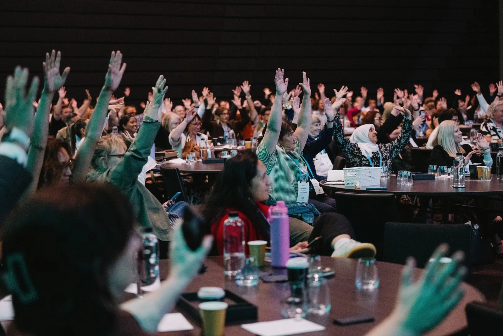 DZ9_1877_PhilanthropyConference_Day1DavidAfternoon_1744-X3.jpg