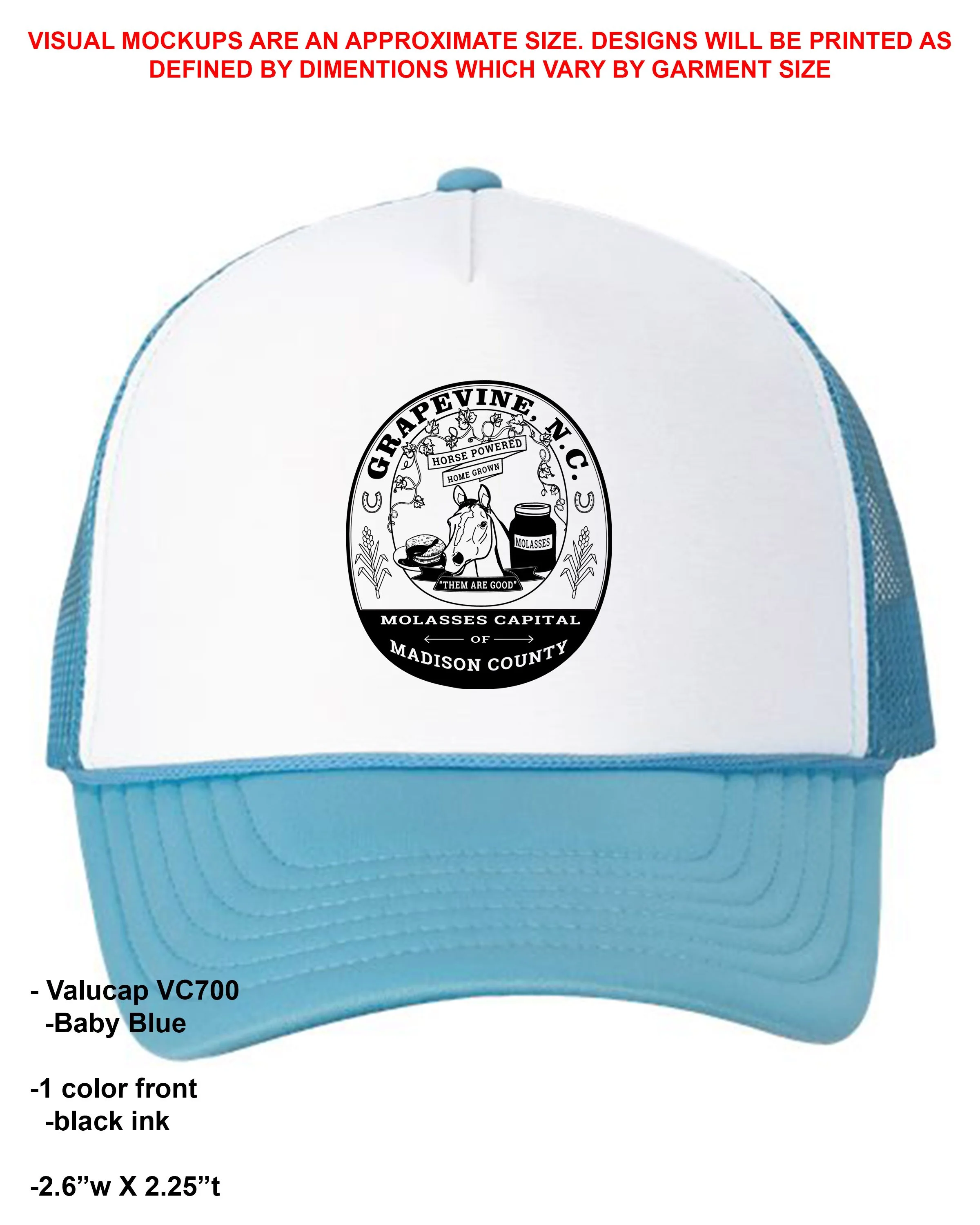 baby blue hat.jpg