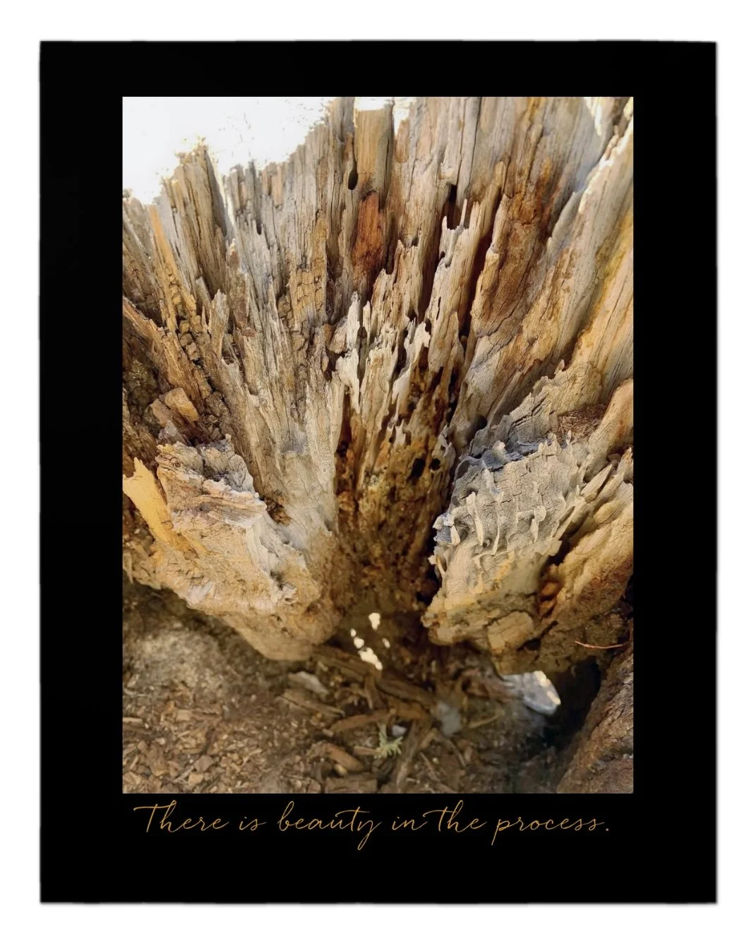 "There is beauty in the process." photo by EE