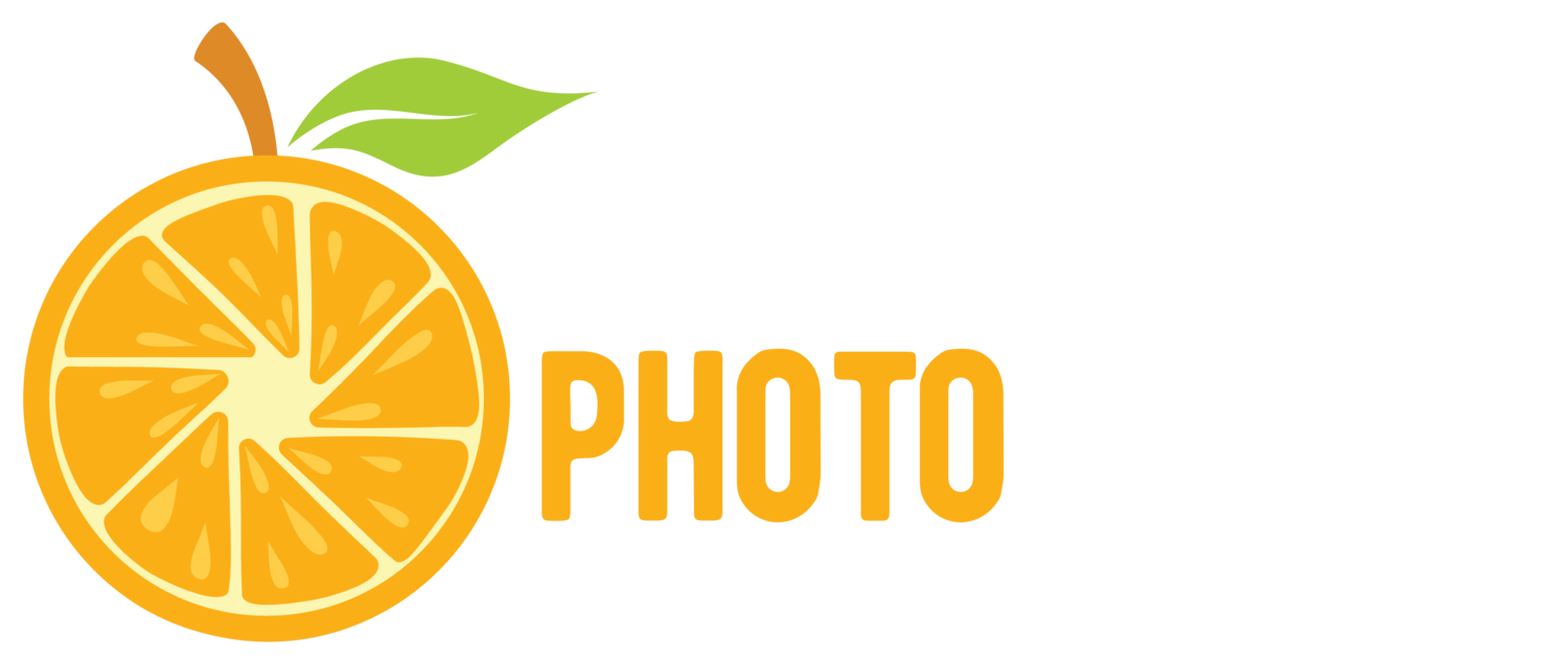 Sarasota Photo Studio