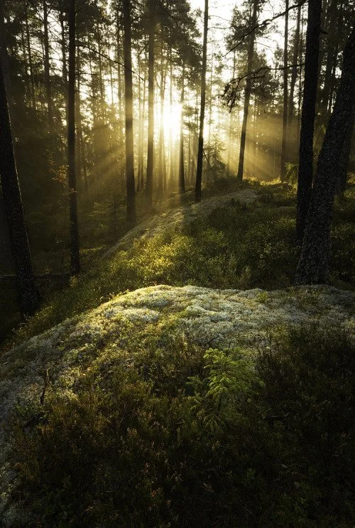 light+on+rocks+-+quest+pic.jpg