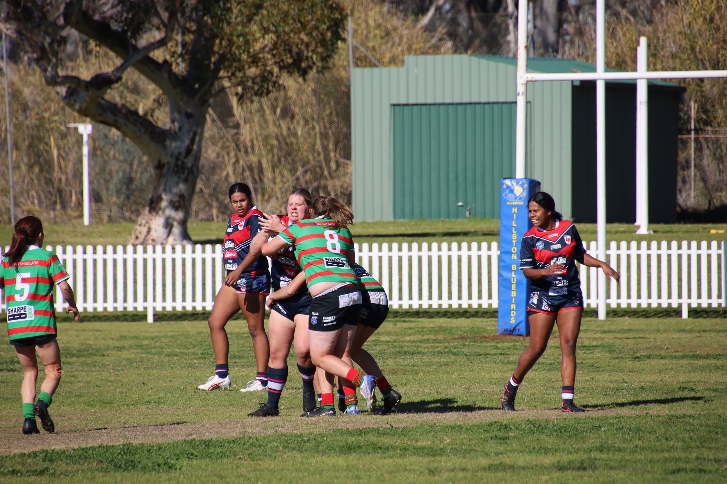 IMG_5237.JPG