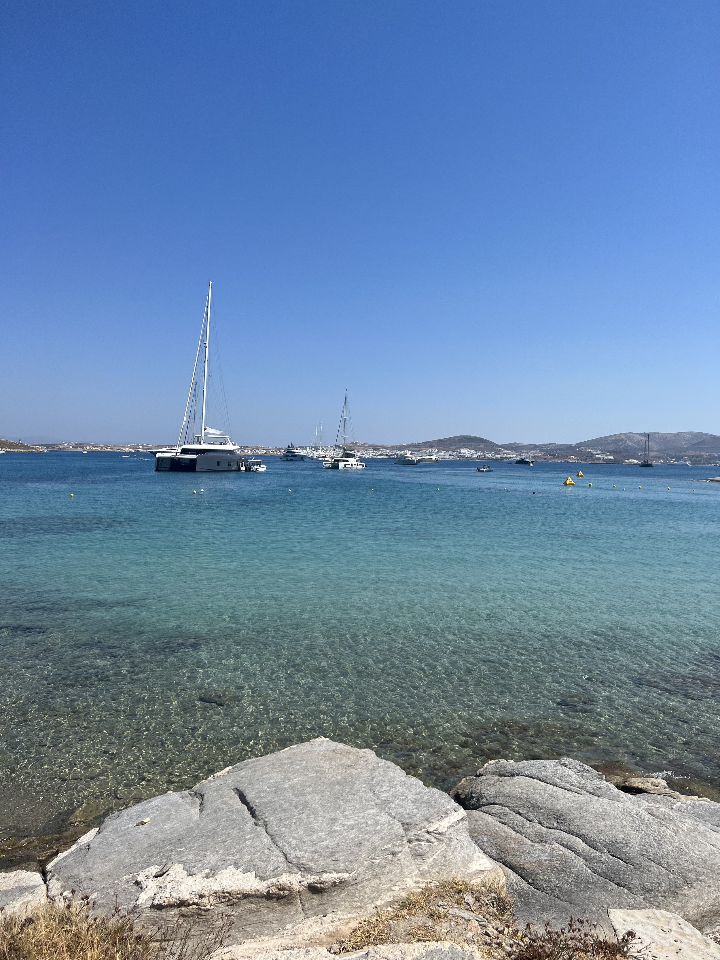 IMG_3370.jpeg