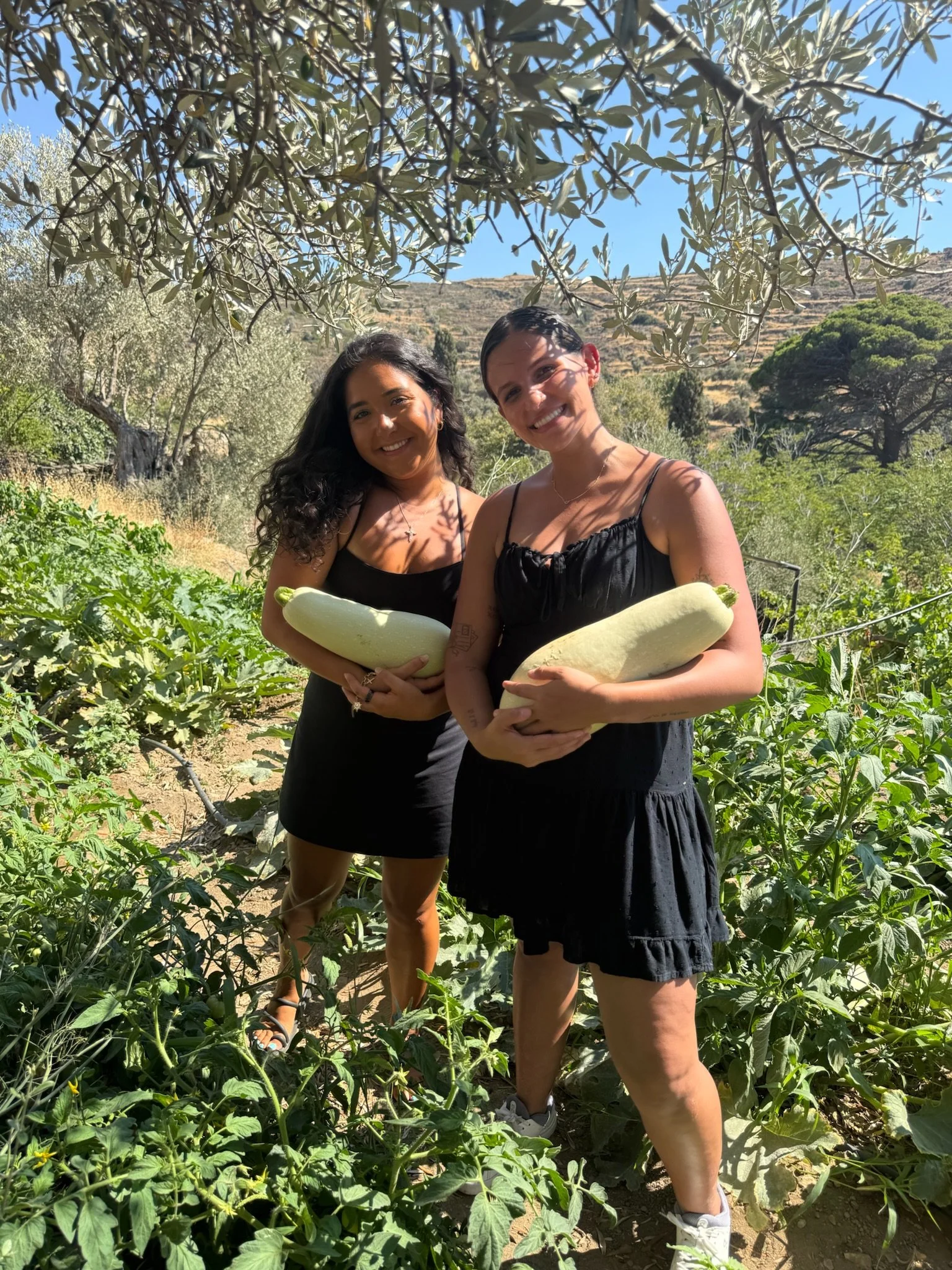 Two women standing in a vegetable garden holding large zucchinis, smiling, with trees and hills in the background on a sunny day.